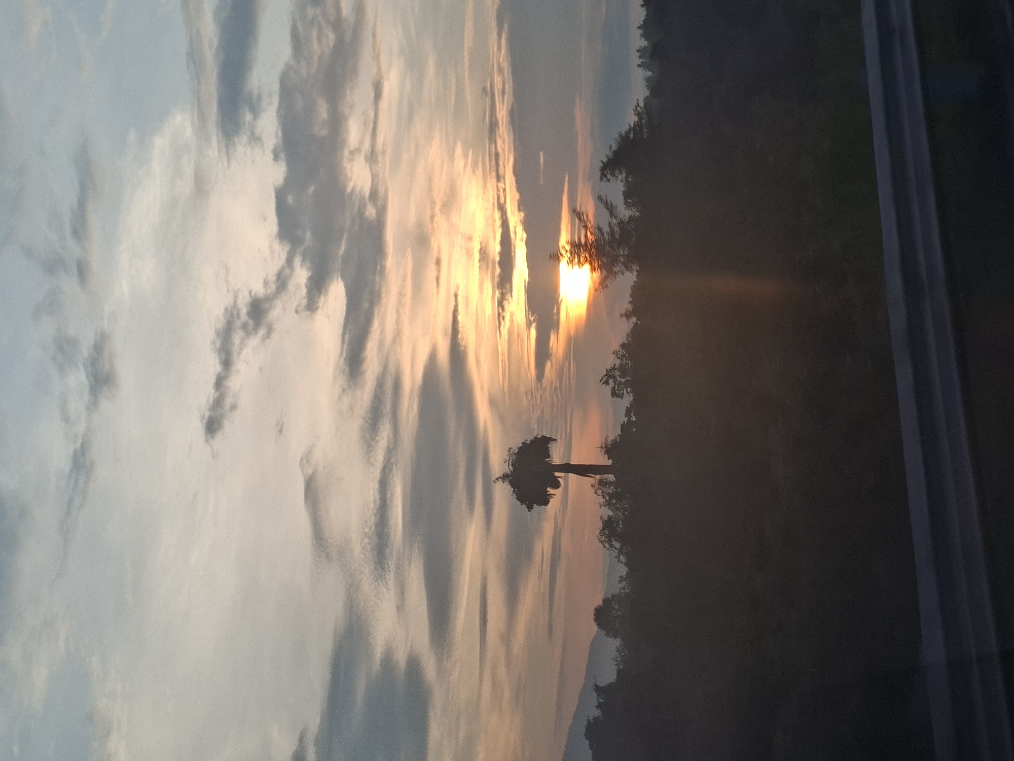 The image depicts a silhouette of trees and a unique, tall tree with a bushy top against a sunset sky. The sun is setting on the horizon, casting warm hues of orange and yellow across the clouds. The foreground shows a dark, blurred landscape, possibly a roadside, with a barrier. The scene is set in Datagaseu, Indonesia, and captures a natural landscape at dusk. There are no people or discernible actions in the image.