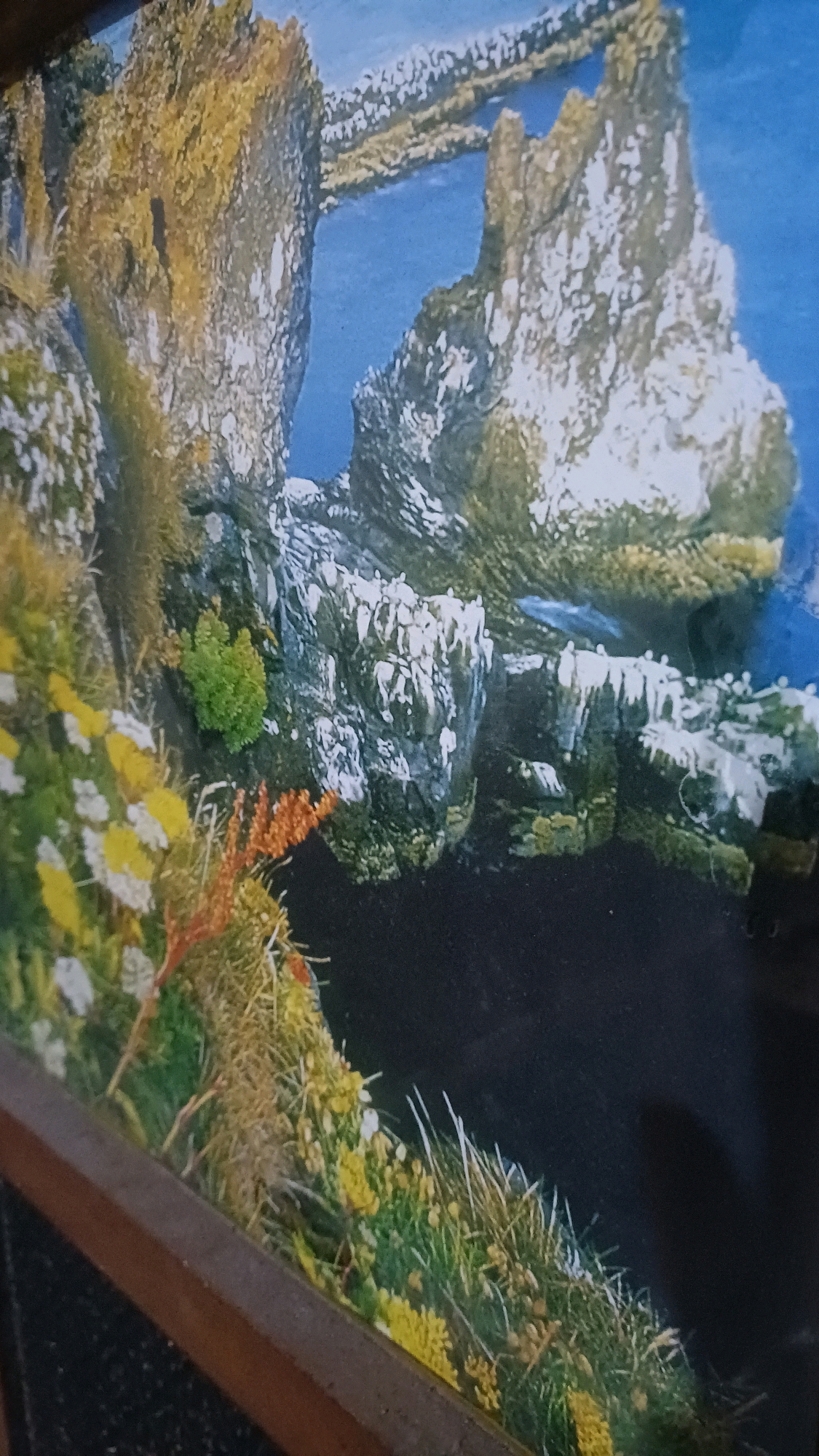 The image shows a framed photograph of a rocky coastline with the ocean. There are dramatic rock formations jutting out of the blue water, with a rocky bridge-like structure connecting two of them in the background. The foreground features a cliff face covered in lush green vegetation, dotted with small white and yellow flowers. Patches of orange foliage are also visible. The overall impression is of a wild and rugged natural landscape. The photograph is enclosed in a wooden frame, the lower edge of which is visible in the image. There are no people present in the photograph. The location of this scene in Wonokerso, Indonesia is not identifiable from the visual information presented in the image.