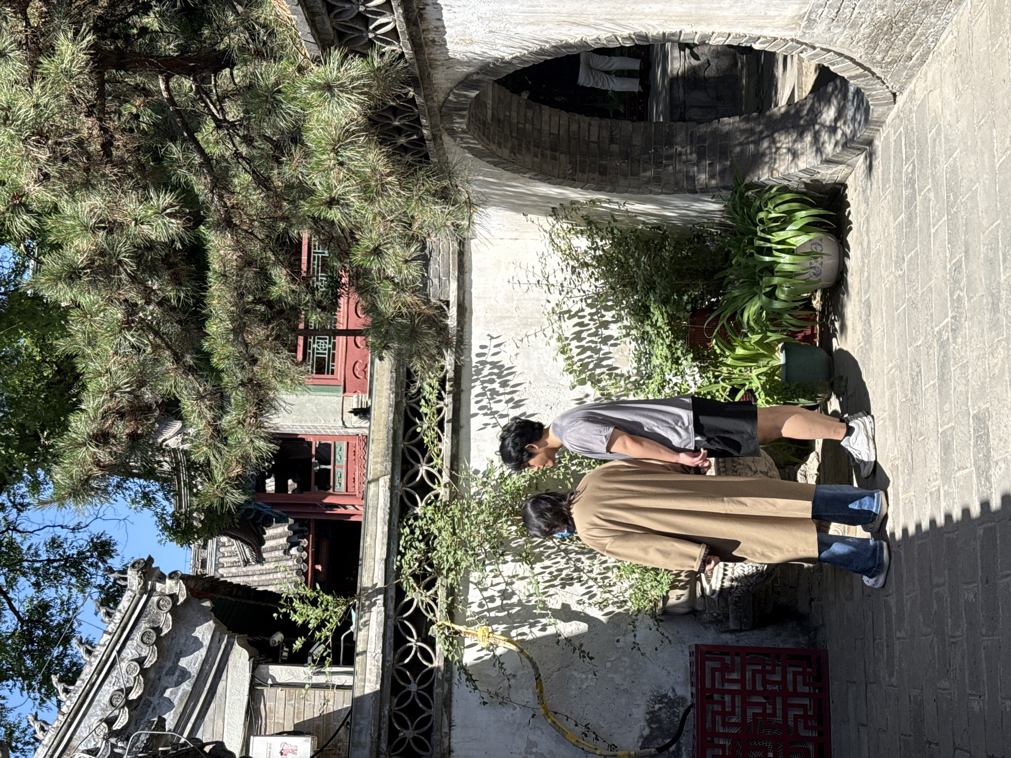 The image depicts a sunny outdoor scene in what appears to be a traditional courtyard setting. Two people are standing close to a white wall covered in vines and foliage. One is wearing a light brown coat and blue jeans, the other wears a gray t-shirt and dark shorts. The courtyard features brick paving. In the background, there are buildings with traditional Chinese architectural elements, including latticed windows and curved roofs. An archway constructed of bricks and stone leads to another area with more greenery. The scene has a historical and cultural aesthetic. Based on the architectural style, it is possible that this image was taken in the Xicheng District of China, known for its preserved historical areas.