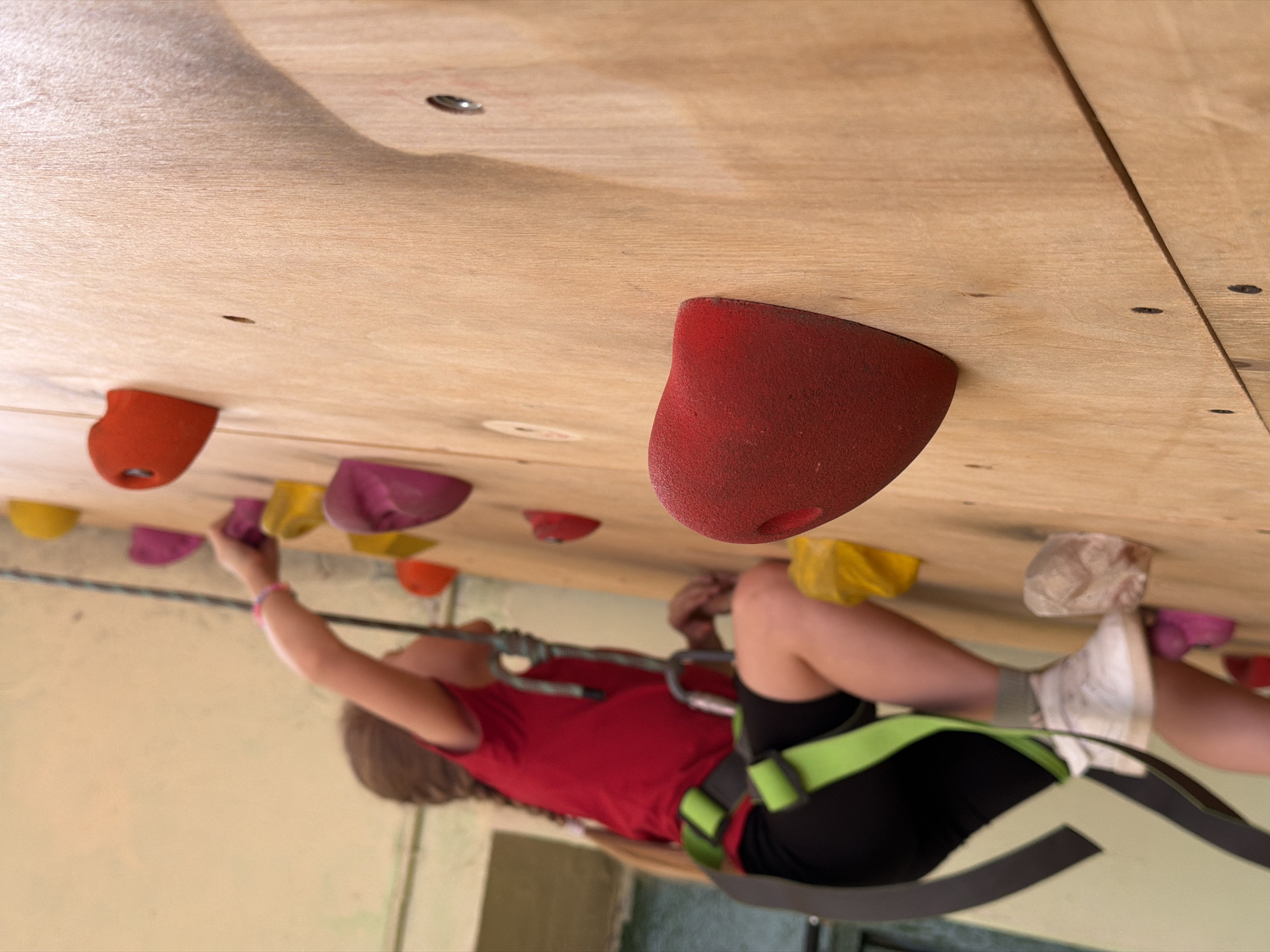 A girl is practicing indoor rock climbing, secured by a harness and rope system. The climbing wall is constructed of plywood with various-colored climbing holds attached. The location is Izhevsk, Russia.