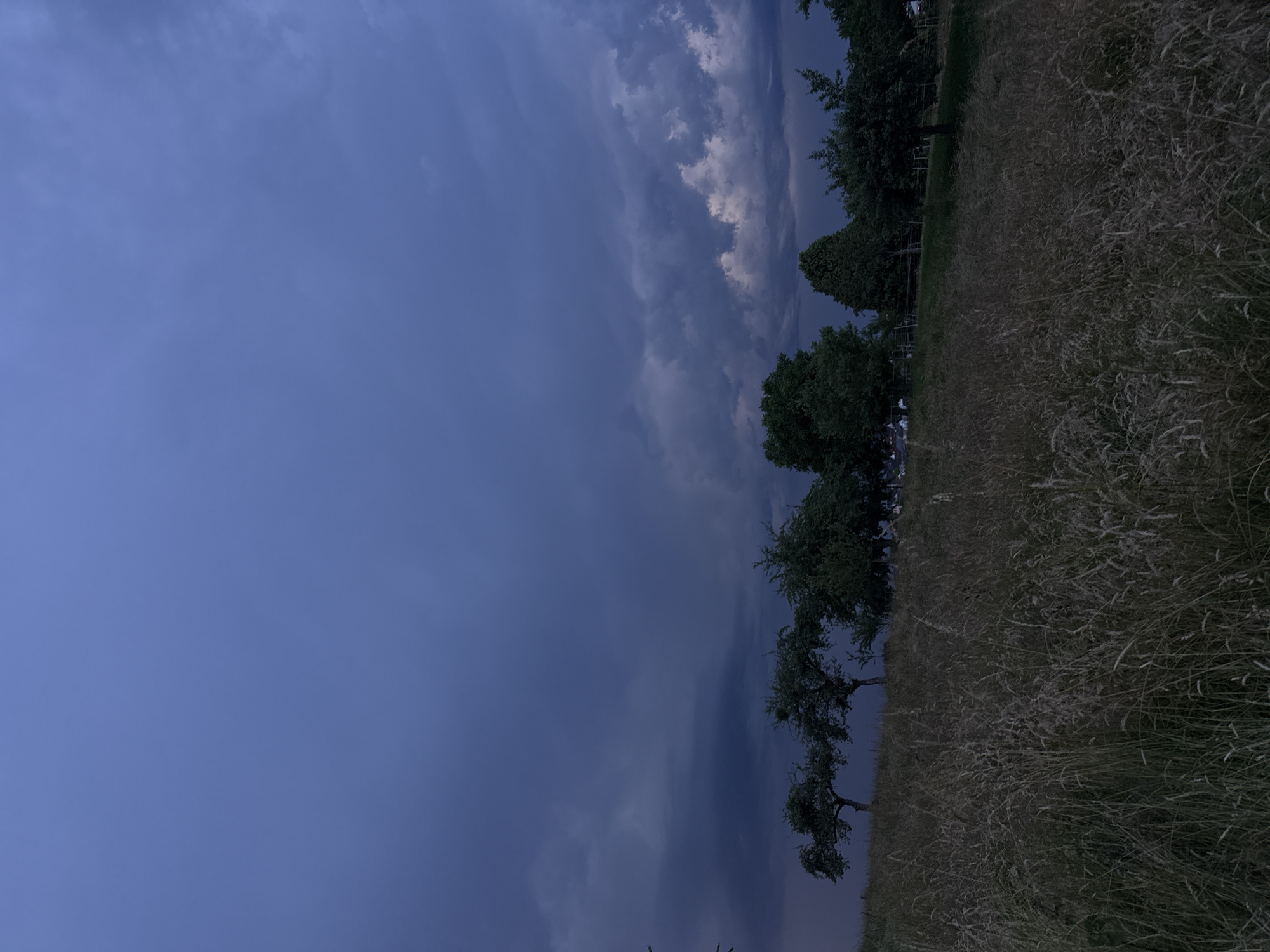The image depicts a rural landscape in Oberquembach, Germany, at dusk. The foreground is dominated by a field of tall, dry grass. In the mid-ground, a line of trees with dark green foliage stands against a backdrop of a dark, stormy sky. The sky is filled with heavy, dark clouds, with some lighter patches suggesting the last remnants of daylight or distant lightning. The overall atmosphere is one of an approaching storm. There are no visible people or animals in the image. The scene is tranquil yet foreboding, characteristic of a summer evening before a thunderstorm.