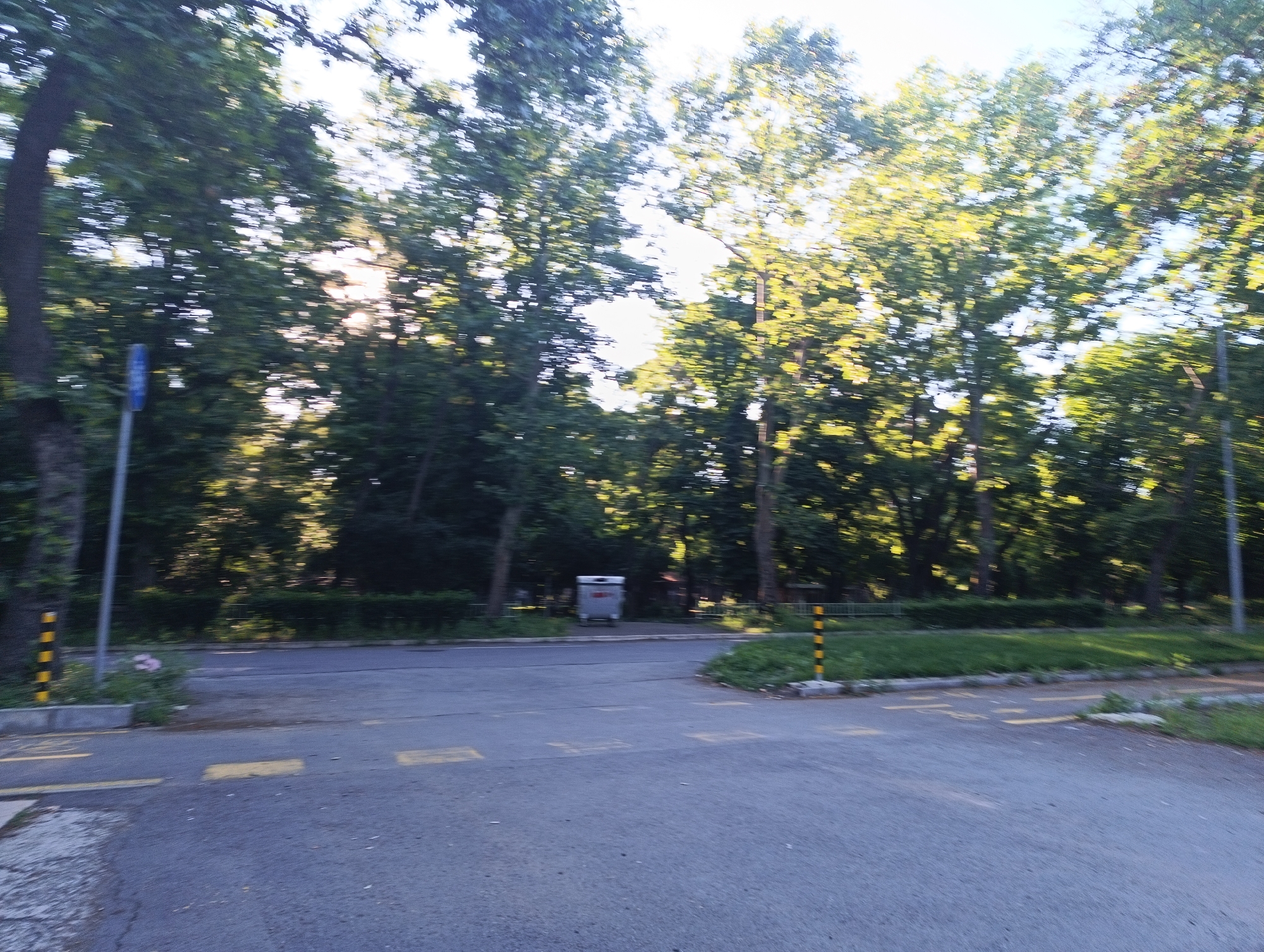 The image depicts an outdoor scene with a road in the foreground and a tree-lined area behind it. The road appears to be paved and has yellow markings. To the left of the road, there is a blue signpost with yellow and black stripes at its base, and some pink flowers. Further back, behind a hedge, a large, metallic trash receptacle is visible. The background is dominated by dense foliage from tall trees, with sunlight filtering through the leaves, creating a dappled effect. The sky is visible through the trees and appears bright. The overall impression is that of a park or a green space within a city, possibly in Karnobat, Bulgaria, given the context. There are no people or animals visible in the image. The scene is static, with no discernible action taking place. The lighting suggests it is daytime, likely late afternoon or early morning due to the angle of the sun.