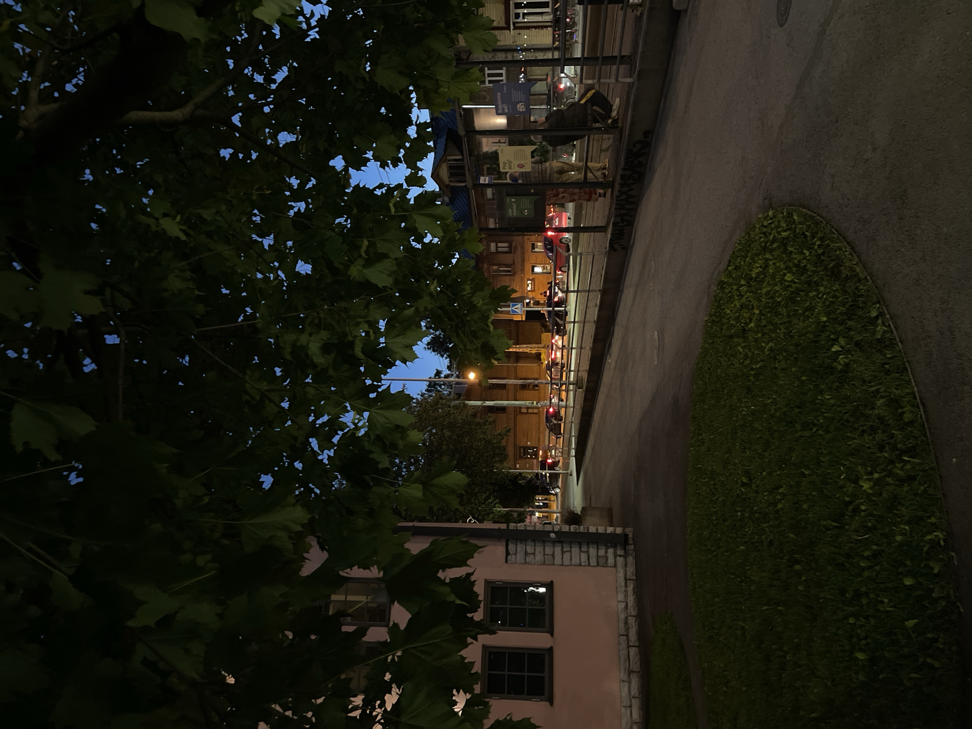 The image depicts an outdoor scene at dusk in Tallinn, Estonia. The foreground is dominated by the dark foliage of a large tree, partially obscuring the view of the background. Beyond the tree, a street runs alongside a sidewalk, with a bus stop shelter and several buildings visible. The bus stop has glass panels and some signage. People are present at the bus stop, one appearing to be seated and another standing. Cars are seen on the street, suggesting traffic. The buildings have a traditional architectural style, with warm-toned facades and windows. A patch of green grass is visible in the lower right portion of the image. The sky is a deep blue, indicating the transition from day to night. The lighting suggests artificial streetlights are on. The overall mood is calm and urban. No distinct emotions are conveyed by the visible subjects. Text is present on signs at the bus stop, but it is too small and blurry to be legible.