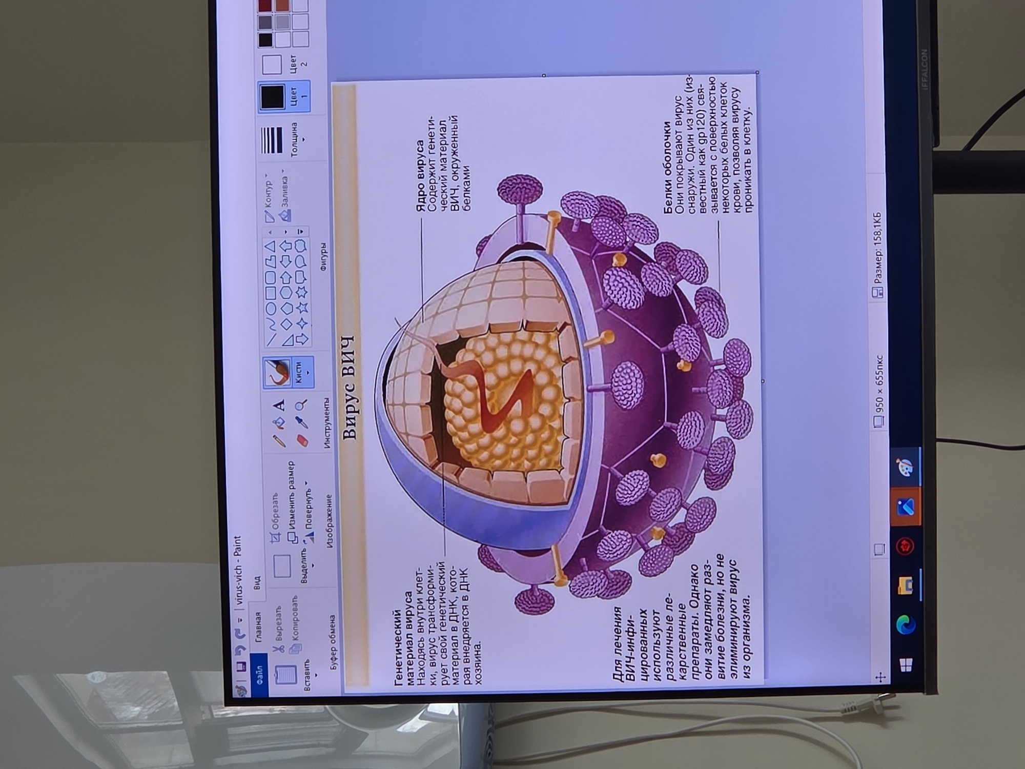 The image shows a computer screen displaying a diagram of the HIV virus in the Paint application. The diagram is labeled in Russian and includes details about the virus's structure, such as the core, genetic material, proteins, and how it infects cells. The Paint interface is visible with various tools and options. The screen is part of a monitor or TV, likely in a room setting, given the wall visible in the background and the presence of cables at the bottom of the screen. The location of the scene is Unknown, Unknown.