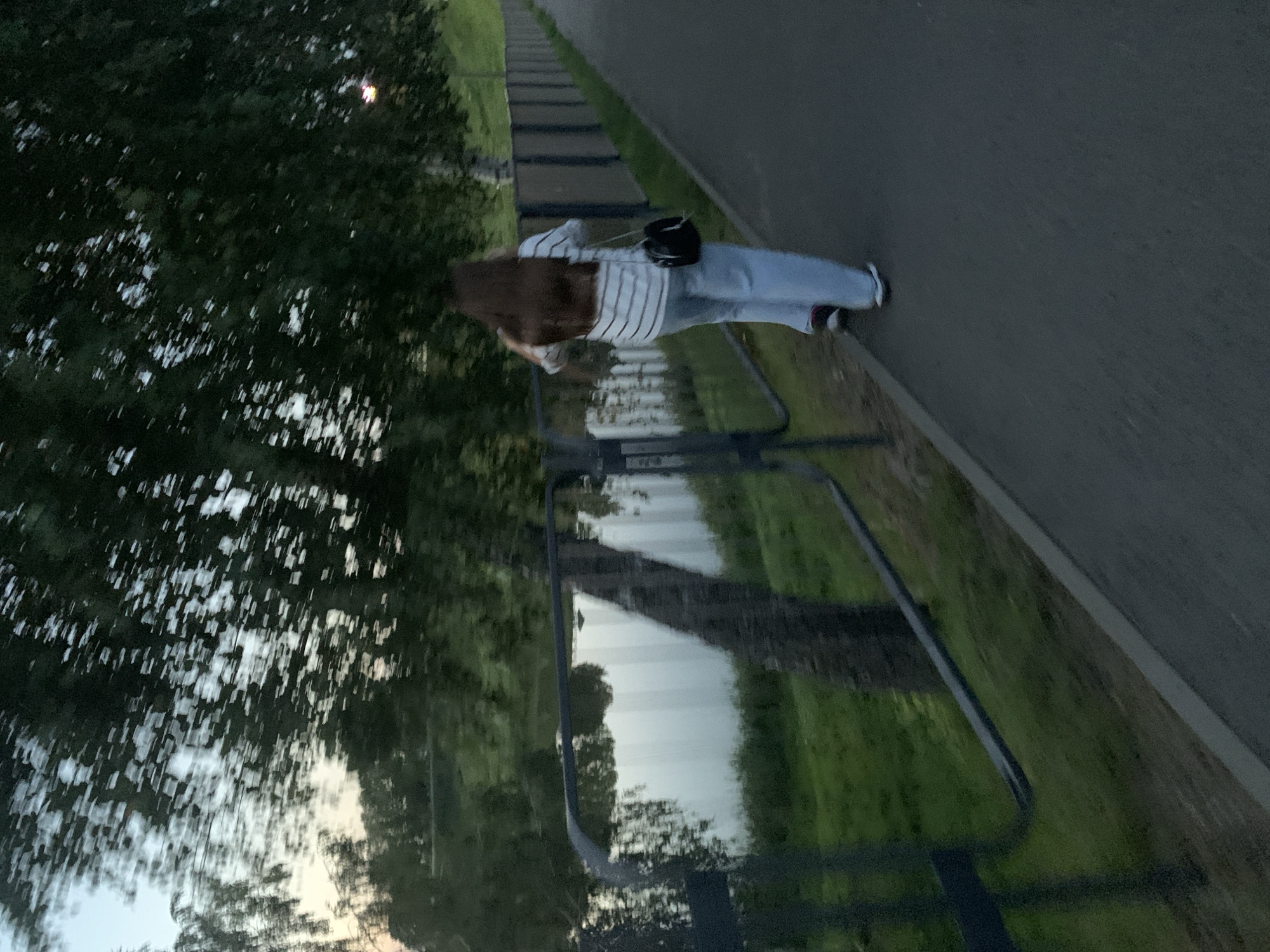 The image depicts a person from behind walking on a paved path next to a body of water, bordered by a fence and trees. The setting appears to be a park or recreational area. The person, with long brown hair, is wearing a striped long-sleeved shirt and light-colored pants, and carrying a black purse. The water reflects the trees and sky, and the surrounding vegetation is green. The fence is dark and appears to be made of metal. The path is asphalt. The sky is overcast. The overall lighting suggests it is either early morning or late evening. The location is specified as Kapyĺ, Belarus.