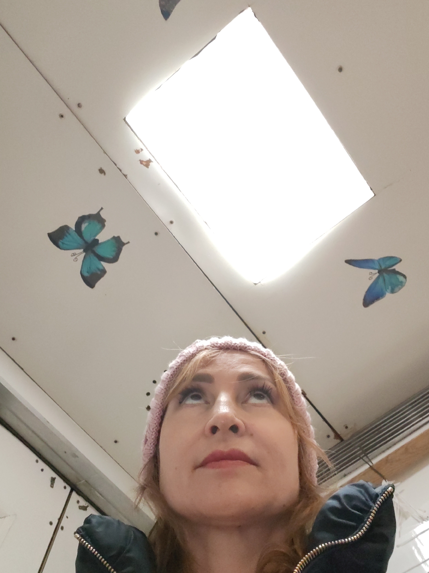 A low-angle shot features a woman looking up toward a rectangular skylight in a white ceiling. She is wearing a pink knit hat and a dark jacket with a metallic zipper visible at the collar. The skylight is the brightest element in the image, casting a glow around its edges. Two blue butterfly decals are affixed to the ceiling, one on either side of the skylight. The background is the city of Unknown, Unknown.