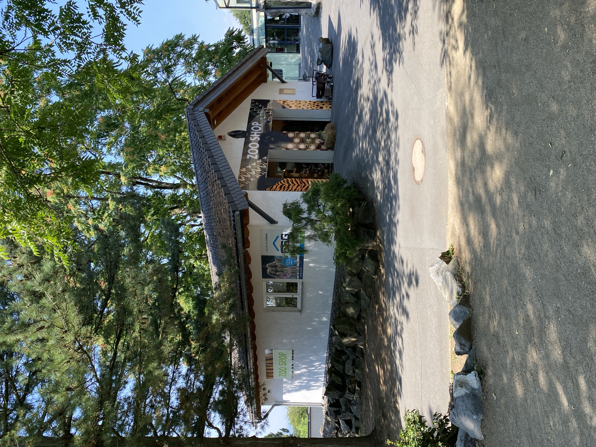 This image depicts the exterior of a zoo shop located in Neuwied, Germany. The shop is a small, white building with a grey, tiled roof and an open entranceway. The entrance is decorated with a tiger stripe pattern on the left and a honeycomb pattern on the right. A sign above the entrance reads "ZOO SHOP". To the left of the main entrance, the building has a large window and a smaller sign with green text that says "ZOO SHOP". The building is surrounded by trees, with sunlight filtering through the leaves, casting dappled shadows on the ground. In front of the building, there is a paved pathway and a gravel area. Large rocks are arranged along the base of the building. To the right of the shop, a modern building with glass windows is visible, suggesting it's part of a larger complex. There are no people visible in the image.