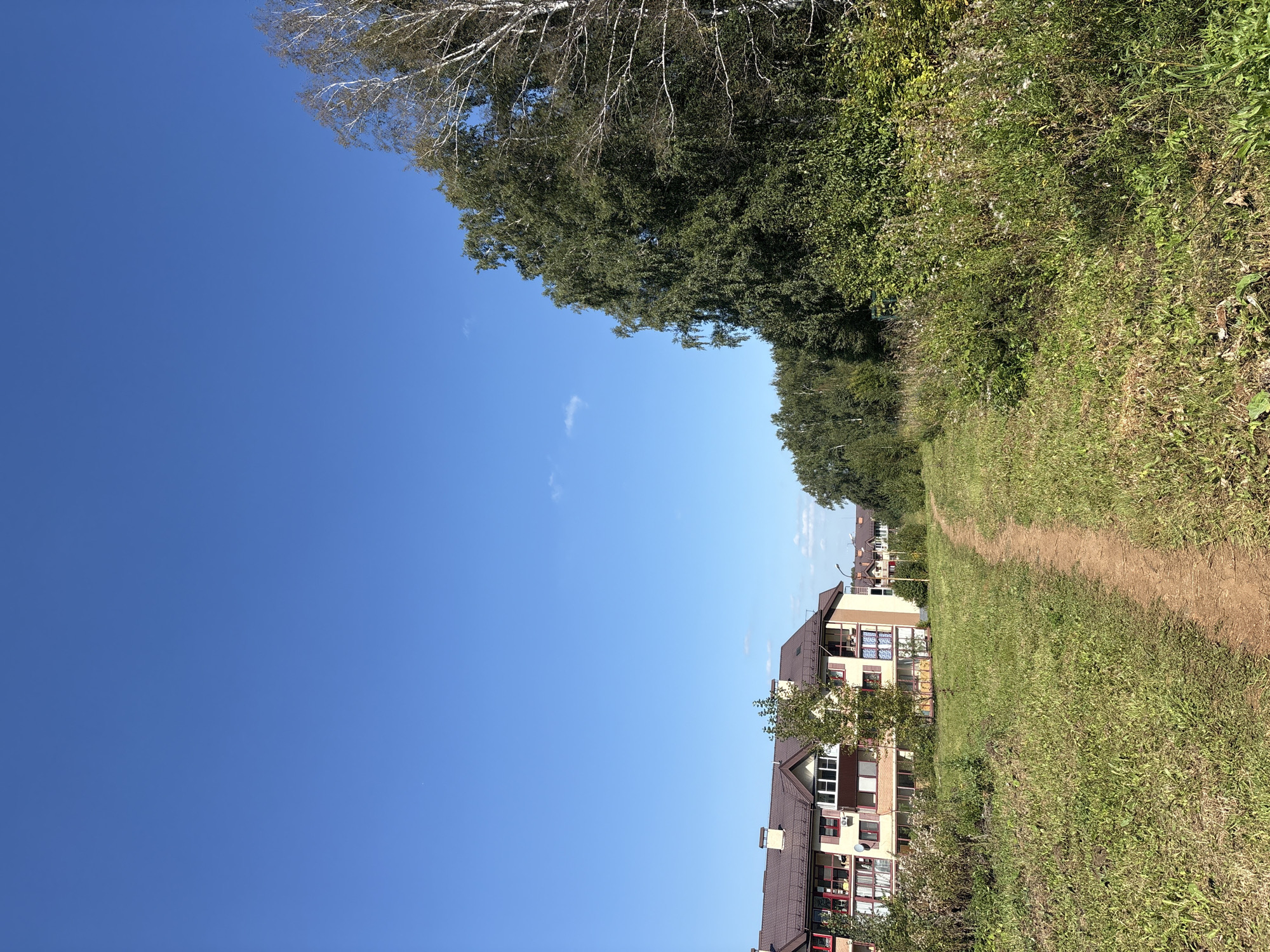 A dirt path winds through a grassy field in Zapadny, Russia, with a multi-story residential building visible on the left and a dense line of trees on the right. The sky above is a clear, vibrant blue with a few wispy white clouds. The building, with its brown roof and light-colored facade, features multiple balconies and windows, suggesting a modern apartment complex. The trees are a mix of deciduous types, with some appearing to be birch trees due to their white trunks. The overall scene depicts a semi-urban or suburban environment with elements of nature integrated into the landscape.