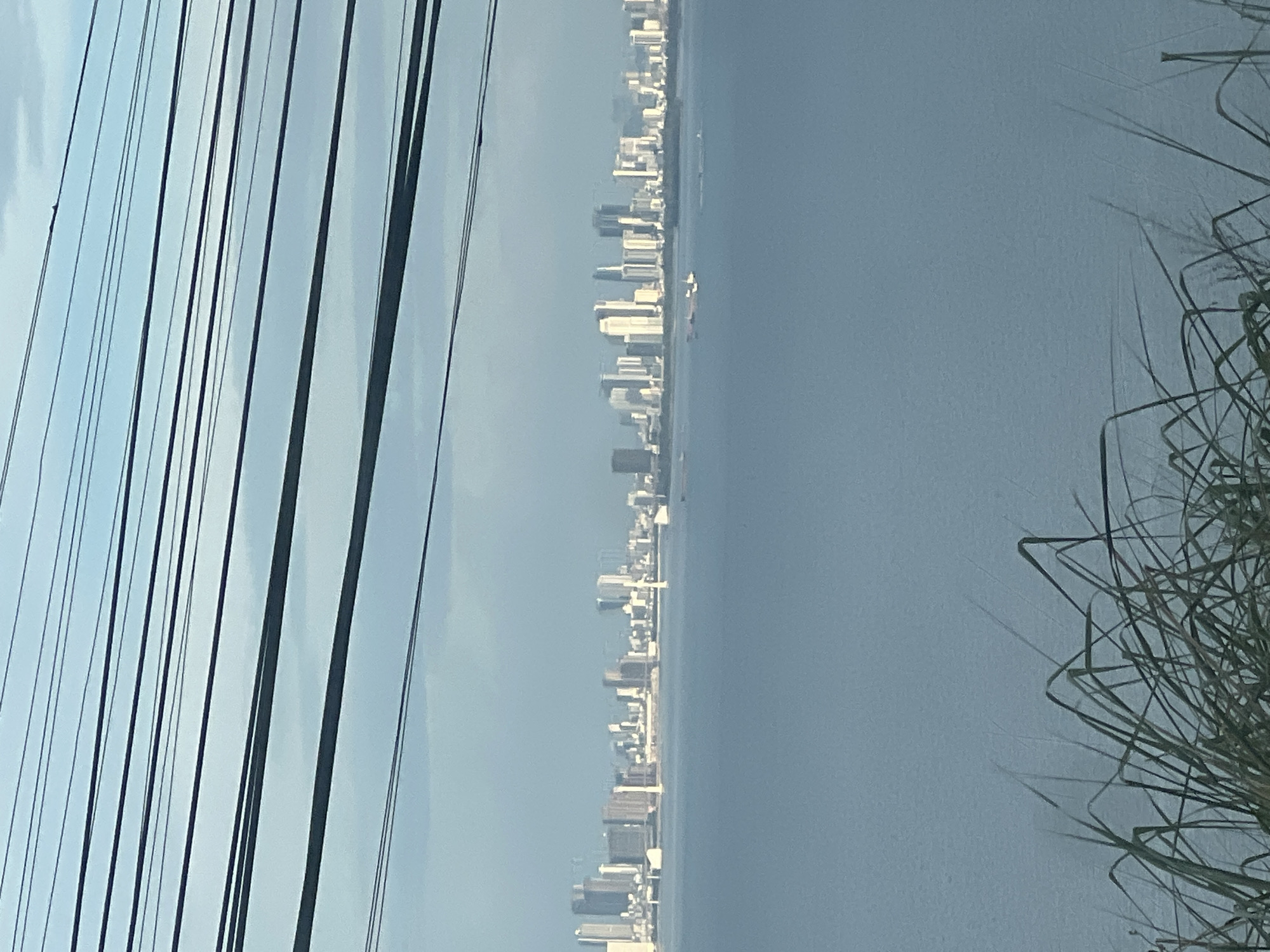 The image depicts a cityscape viewed across a body of water. In the foreground, blades of grass are visible, swaying gently. Dominating the mid-ground is a wide expanse of calm, blue water. In the distance, a skyline of numerous modern buildings, including high-rises, stretches across the horizon. Several ships or boats are present on the water. Overhead, multiple dark power lines traverse the frame diagonally, obscuring parts of the sky, which is a pale blue with some cloud cover. The overall impression is a panoramic view of a coastal city, likely during daylight hours, with foreground elements suggesting a vantage point from a shore or elevated position. This scene is not located in the city of Huế, Vietnam.
