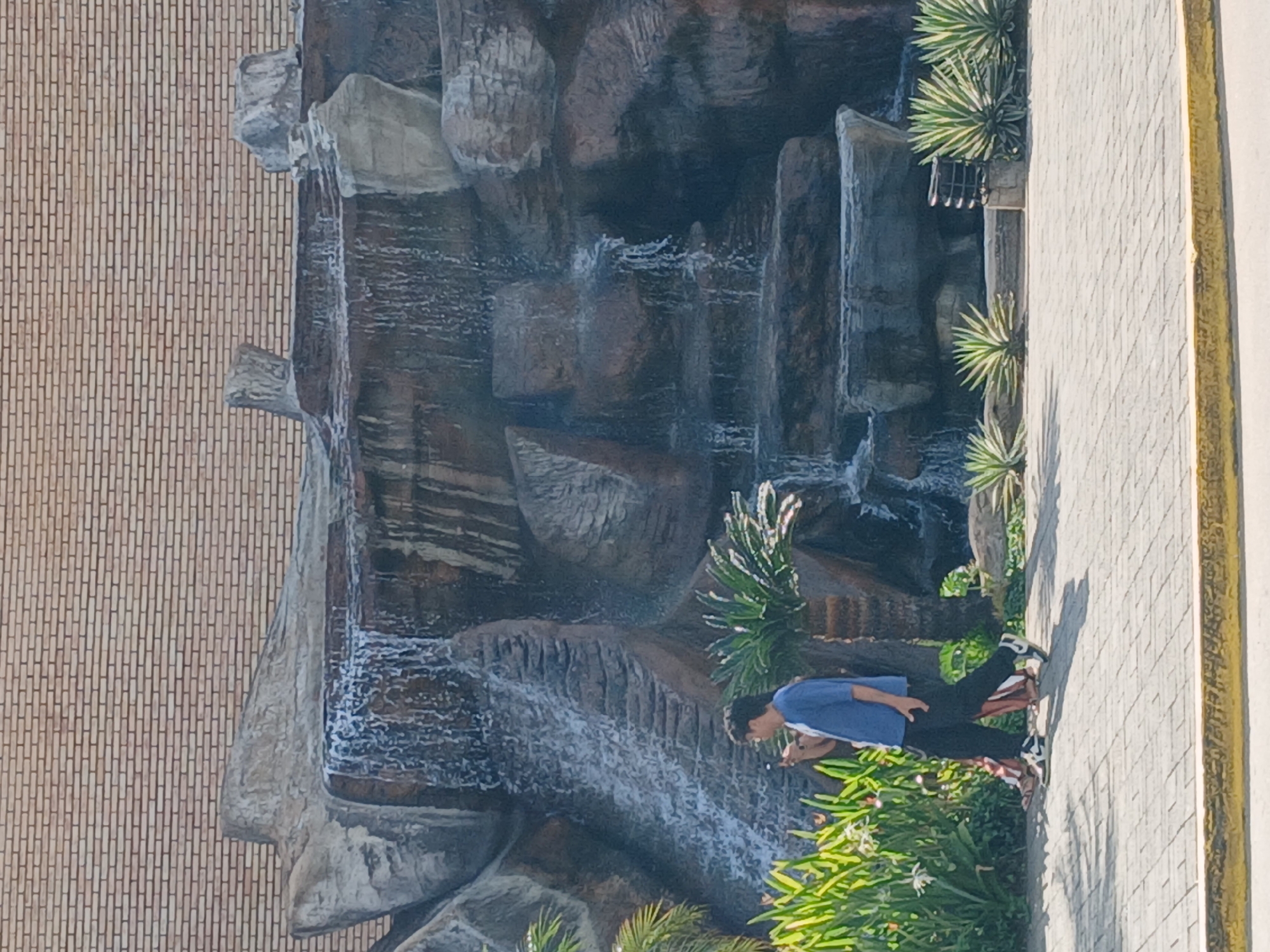 The image captures an outdoor scene in Guayana City, Venezuela, centered around a multi-tiered artificial rock waterfall. Water cascades down various levels of the brown and grey rock formation, creating white splashes and foam, particularly visible towards the bottom and middle sections.
On the left side of the frame, a tall, light brown brick wall serves as a backdrop to the waterfall, with neatly laid horizontal bricks forming a textured pattern. To the right of the waterfall, a light grey paved walkway extends into the distance, bordered by a prominent yellow stripe along its edge.
A young male, dressed in a blue short-sleeved top and dark pants, stands on the paved walkway. He is leaning forward, seemingly interacting with the flowing water from the waterfall, possibly drinking from it or observing it intently. His posture suggests engagement with the water feature.
Numerous green plants and foliage are integrated into the landscape around the waterfall and along the edges of the paved area, including some spiky, succulent-like plants. The scene is brightly illuminated by natural daylight, indicating it is daytime, and subtle shadows are visible on the paved ground. There is no visible text in the image. The overall impression is a recreational or decorative water feature in an urban or park-like environment.