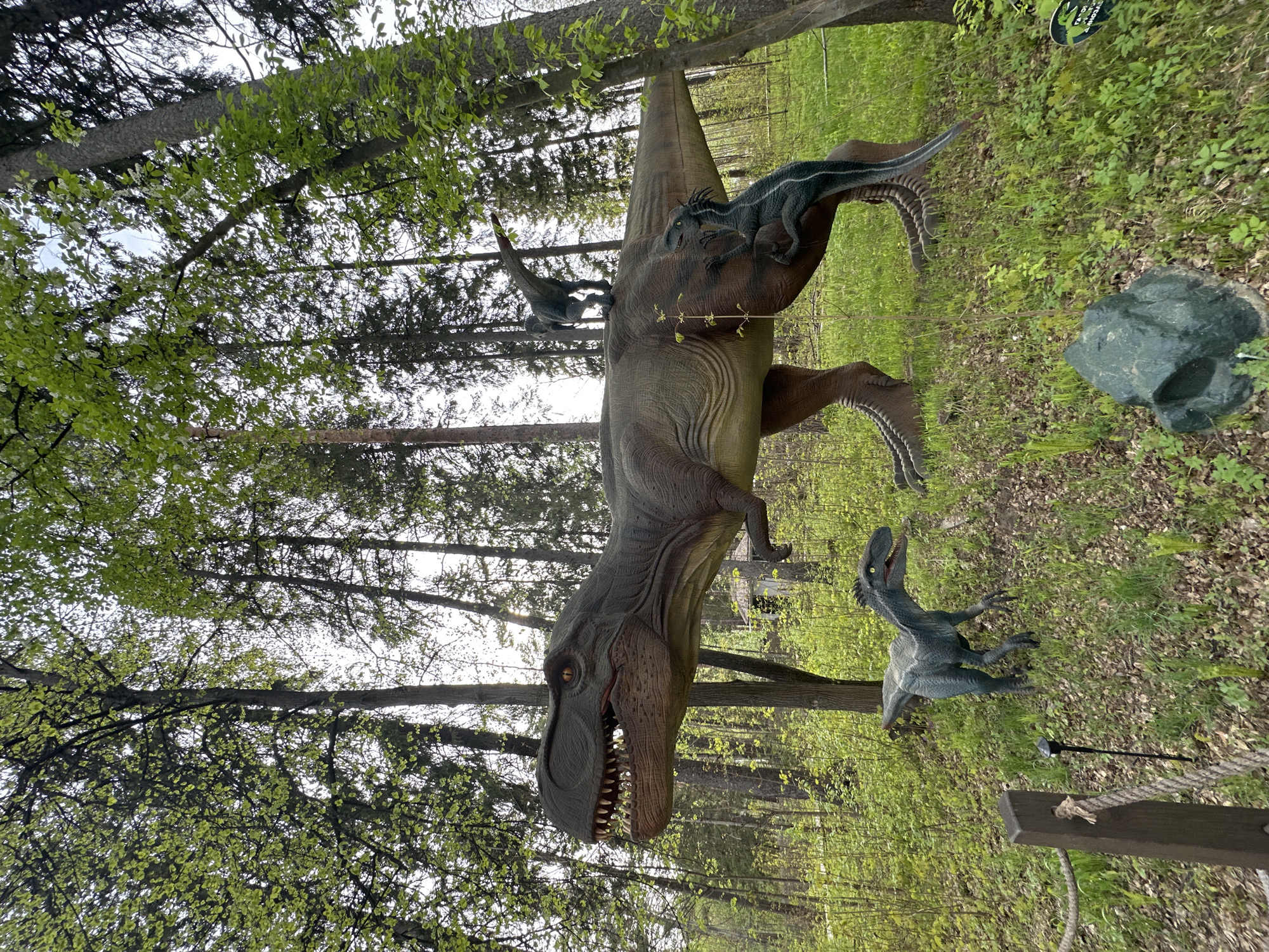 The image depicts a dinosaur exhibit in a wooded area. The central figure is a large, tan Tyrannosaurus Rex model, with two smaller, dark blue raptor models perched on its back. Another raptor model stands on the ground near the T-Rex. The area is forested, with trees visible in the background. The location is in Izhevsk, Russia. A rope railing is partially visible in the foreground. A dark grey rock is in the midground.