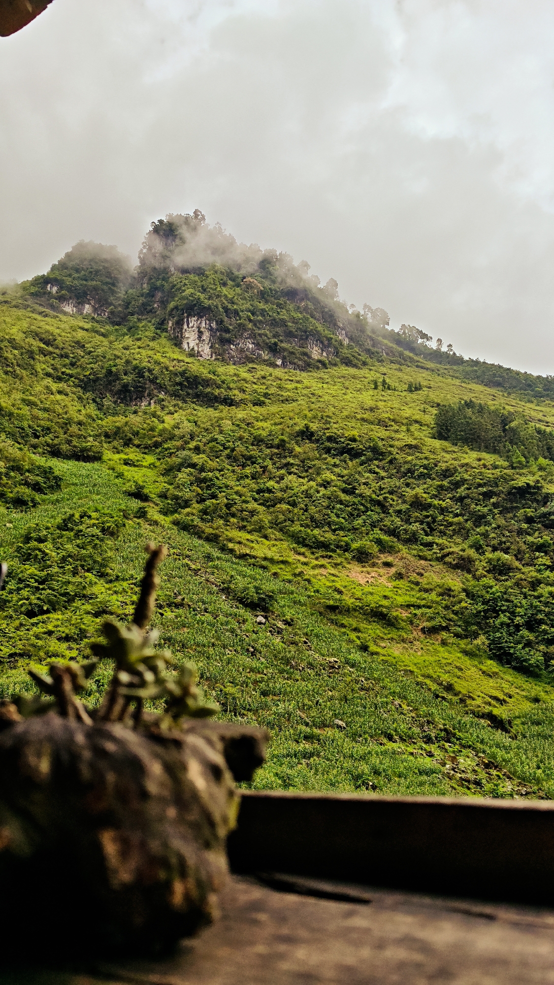 The image captures a verdant hillside in Yên Minh Commune, Vietnam. The foreground includes a blurred plant in a pot on a wooden ledge. The hillside is covered in lush green vegetation, with areas appearing to be cultivated fields, possibly terraced. Higher up the slope, rocky outcrops are visible. The top of the hill is partially obscured by low-lying clouds or mist, which adds to the atmospheric perspective of the scene. The sky is overcast, creating a soft, diffused light. No people are visible in the frame.