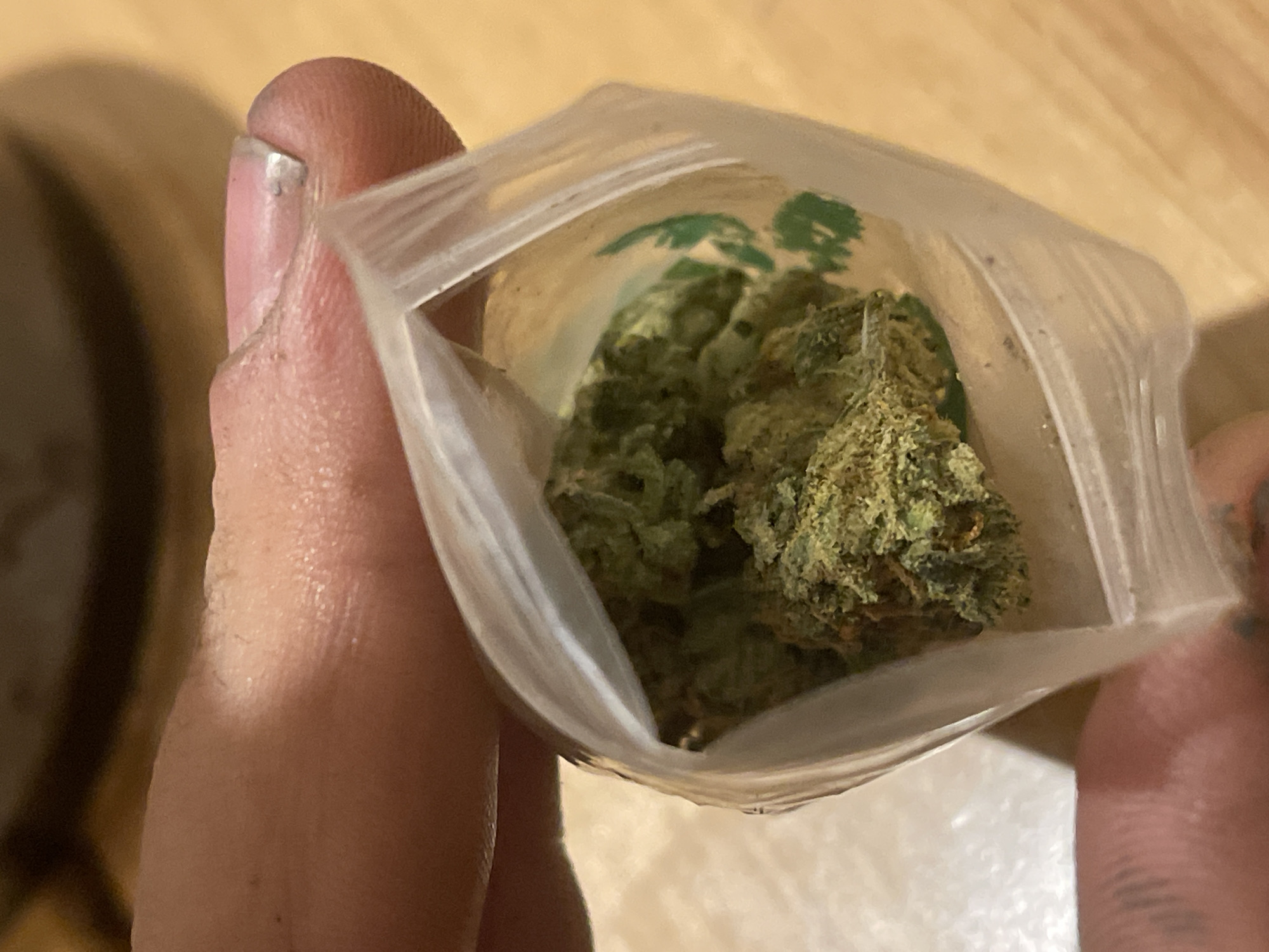 A close-up, overhead shot shows a person's thumb and index finger holding a small, clear plastic bag containing cannabis flower. The cannabis is a vibrant green with hints of brown and orange. The bag is partially open, and the flower is visible inside. The background is blurred, suggesting a shallow depth of field, but appears to be a wooden surface. The lighting is warm and soft. The image does not contain any recognizable landmarks or environmental features that would indicate a specific city or location.