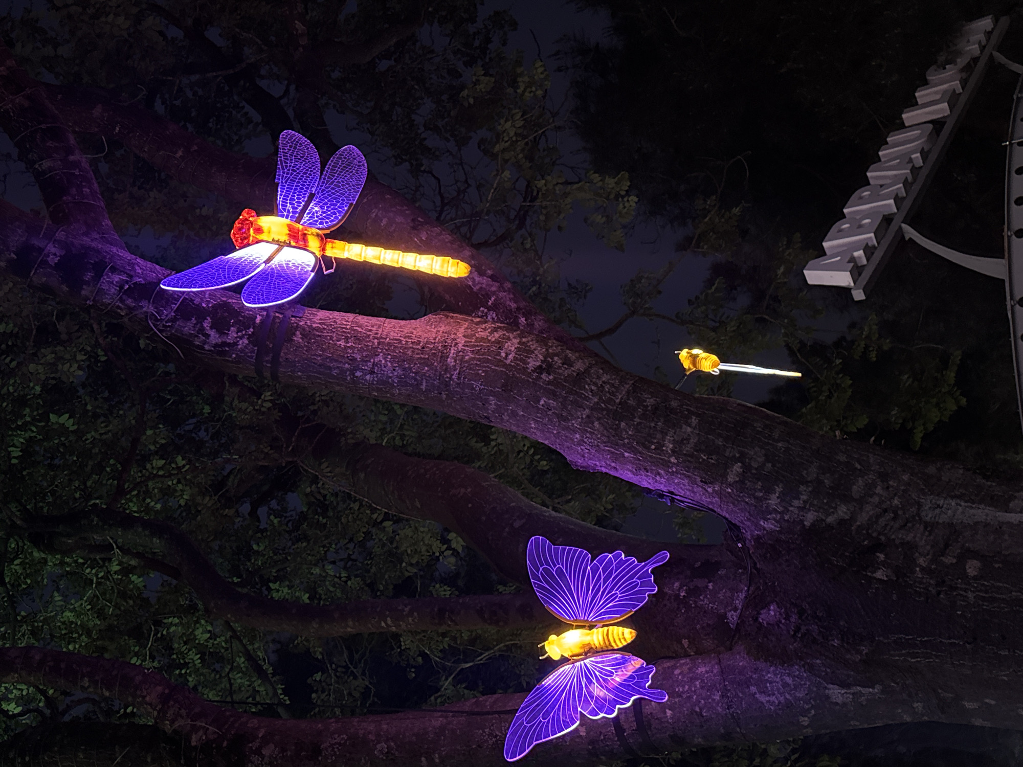 The image shows a nighttime scene, likely in a park or garden in Gelendzhik, Russia, where illuminated decorations are placed on a large, gnarled tree. Two oversized, lit insect figures are attached to the tree branches: a dragonfly with a yellow body and purple wings and a butterfly with a yellow body and purple wings. Another, smaller insect figure, appears to be a bee or another type of flying insect, also illuminated with a yellow body and is located in the background slightly to the right of the dragonfly. A light-colored structure, possibly a sign or architectural feature, is visible on the right. The tree trunks are lit with a purple hue. The background is dark with the hint of foliage and sky.