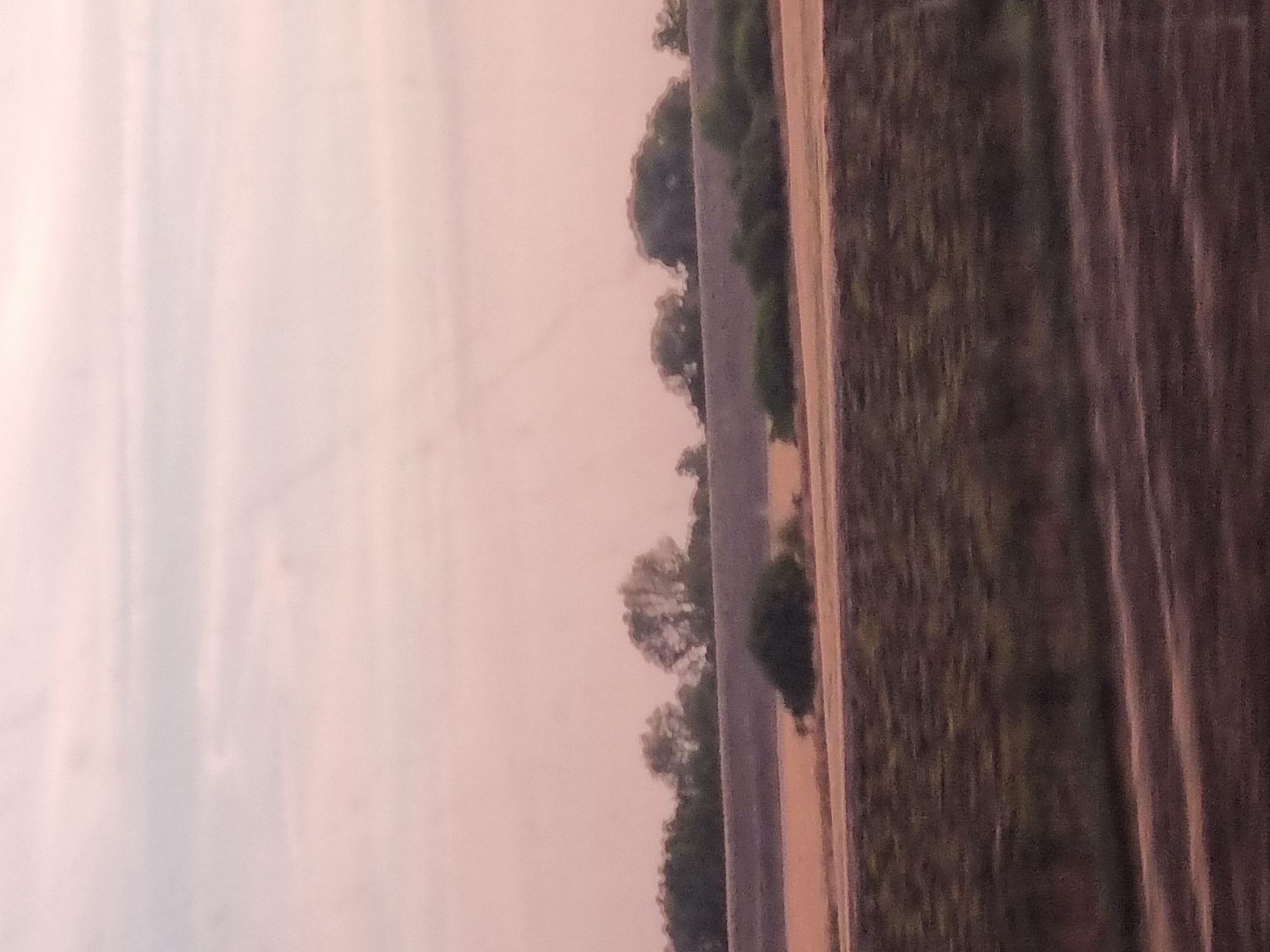 The image depicts a landscape scene with a pale pink sky. In the middle ground, there are several trees and bushes. A field with a lighter brown color is visible below the trees, and a darker, blurred field stretches across the foreground. The overall impression is of a rural or agricultural area. The specific location of Iermata Neagră, Romania, is not discernible from the visual information in the image.