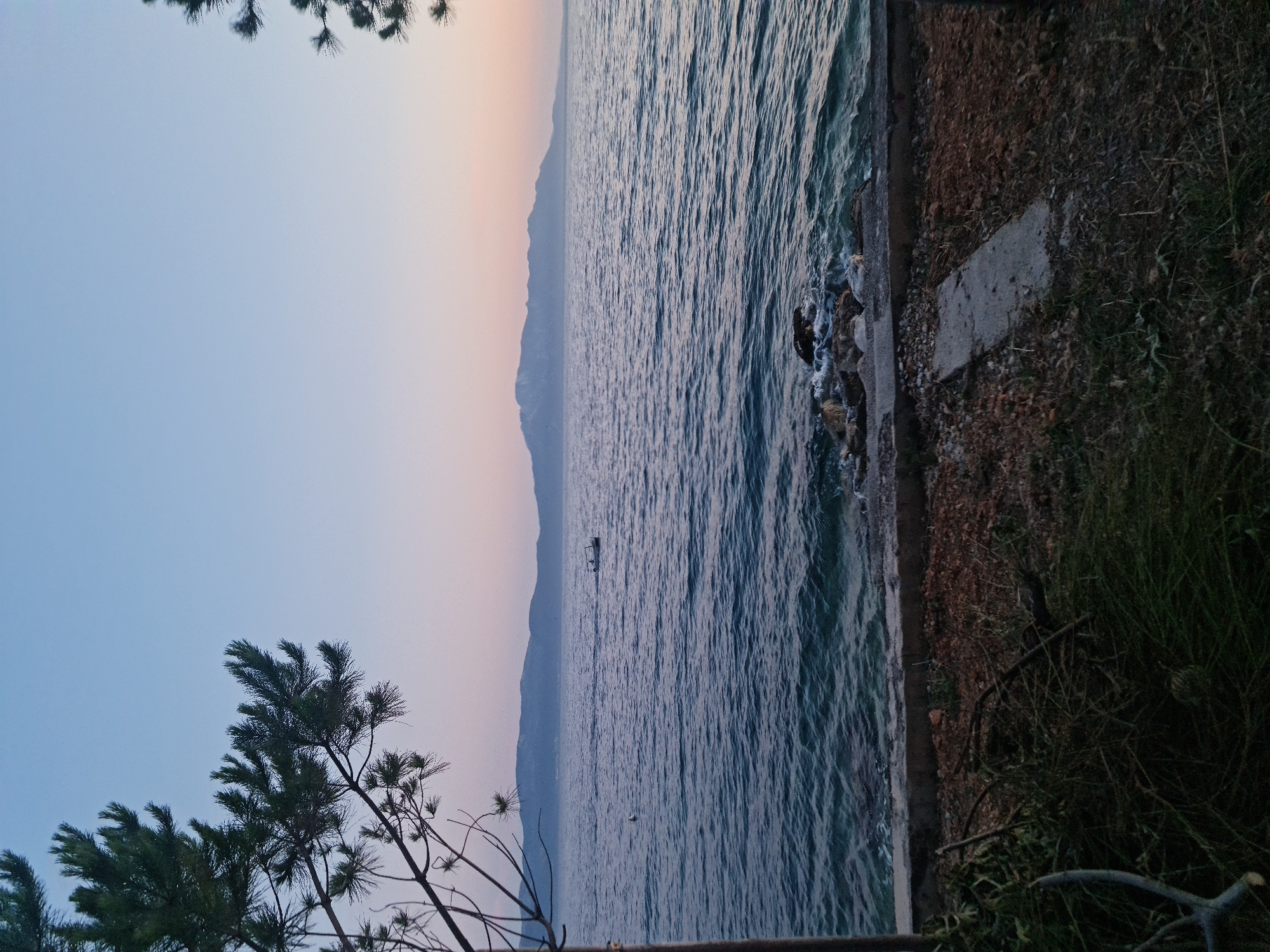 An outdoor, eye-level, medium shot shows a body of water with a distant mountain range under a pale blue and pink sky. In the foreground, on the left, a pine tree branch extends from the top left corner downward towards the water. A narrow concrete barrier runs horizontally across the middle of the frame, separating the foreground from the water. The ground in front of the barrier is covered with dry leaves and some sparse green vegetation. The water is a deep blue with small waves and a hint of green near the shore. A small boat with two people can be seen in the distance on the water, heading towards the right. The mountain range in the background is hazy and appears to be covered in snow. The overall impression is a serene twilight scene along the coast of Brist, Croatia.