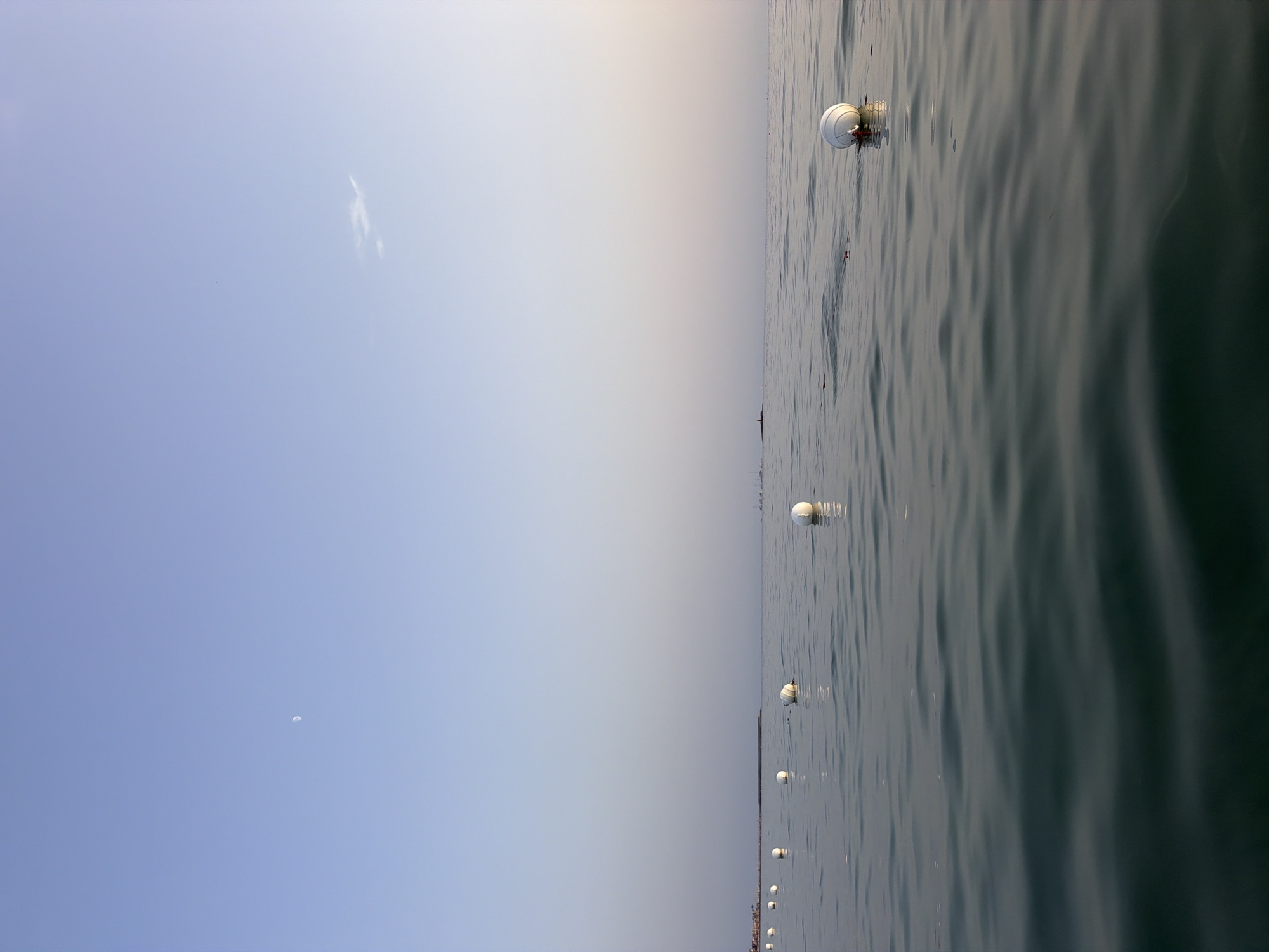 The image depicts a calm sea with a clear, pale blue sky. A line of white buoys floats on the surface of the water, extending from the left to the right of the frame. In the far distance, a faint, crescent moon is visible in the upper left quadrant of the sky, and a wispy cloud is present in the upper right. The horizon line is low, with the majority of the image occupied by the sea and sky. The water is dark green, with gentle ripples reflecting the soft light. The scene appears to be a serene coastal environment, possibly a beach or harbor area, with hints of distant land and structures on the far left. The specific location within Alghero, Italy cannot be determined from the image alone.