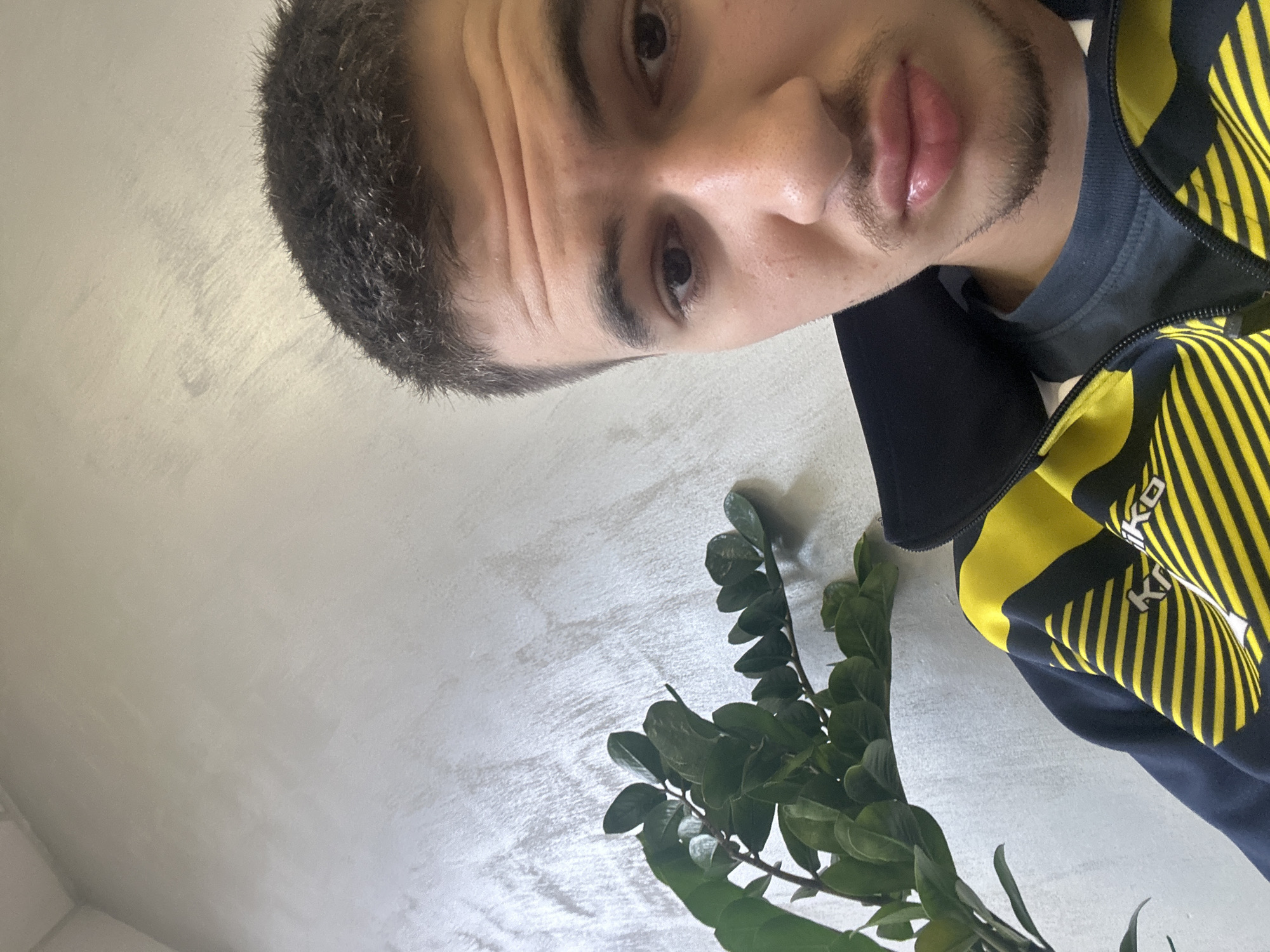 A selfie of a young man with short dark hair and a trimmed beard is positioned in the upper right of the frame. He is wearing a dark jacket with yellow stripes. A leafy plant is in the foreground on the lower right side. The background is a plain, light-colored wall. The location in Sofia, Bulgaria, cannot be determined from the image.