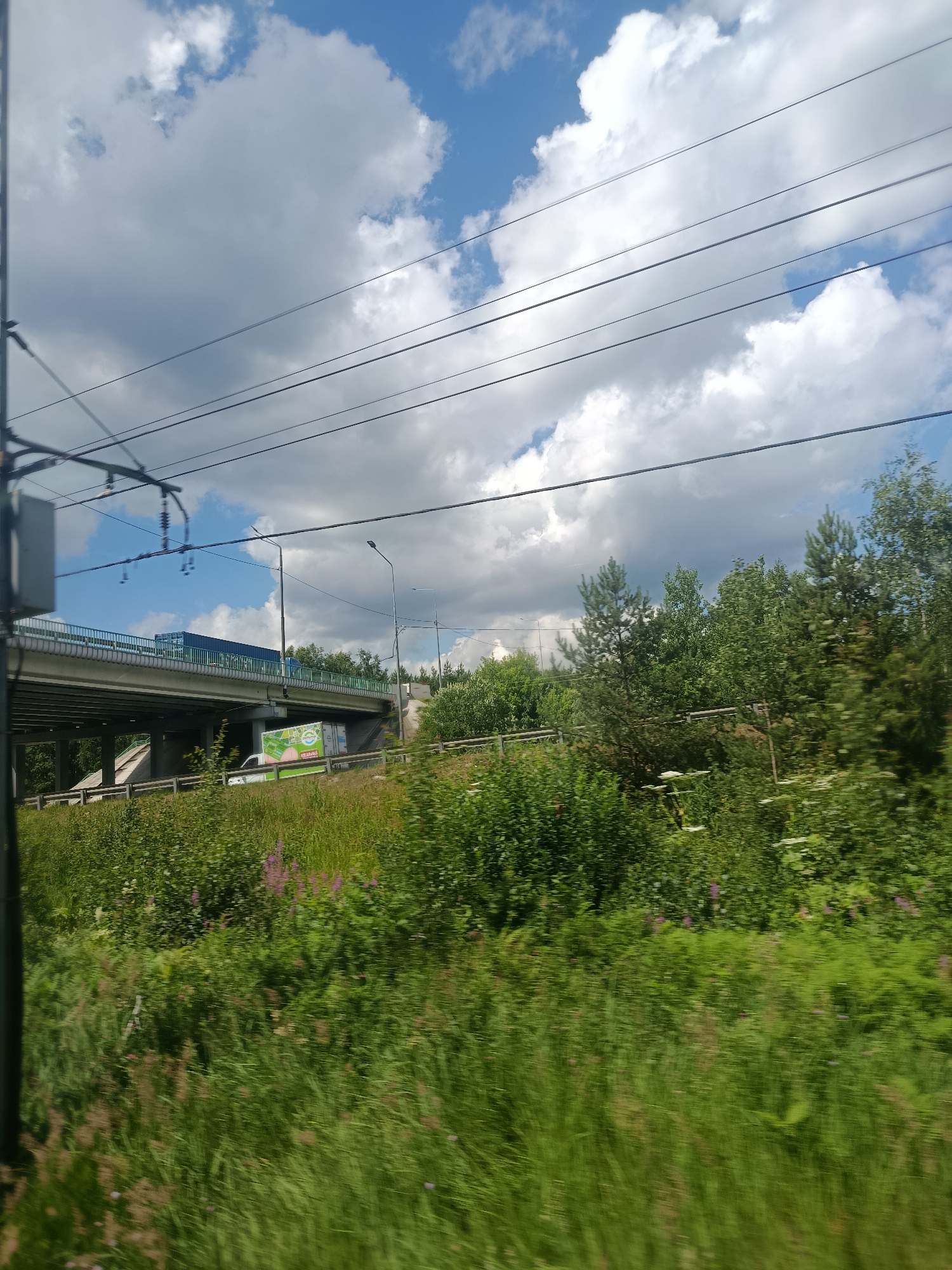 A long shot captures a multi-lane overpass against a backdrop of a cloudy sky and dense green trees. A blue truck is visible on the overpass, along with a white truck with a green advertisement on its side, driving on the road beneath. The foreground is dominated by a blurred field of lush green grass and vegetation. Overhead, multiple dark power lines stretch across the frame, creating a stark contrast with the bright sky. The scene appears to be in a natural setting, possibly the outskirts of a city, with the "Природа Снт, Russia" designation indicating a dacha settlement or a natural area within Russia.