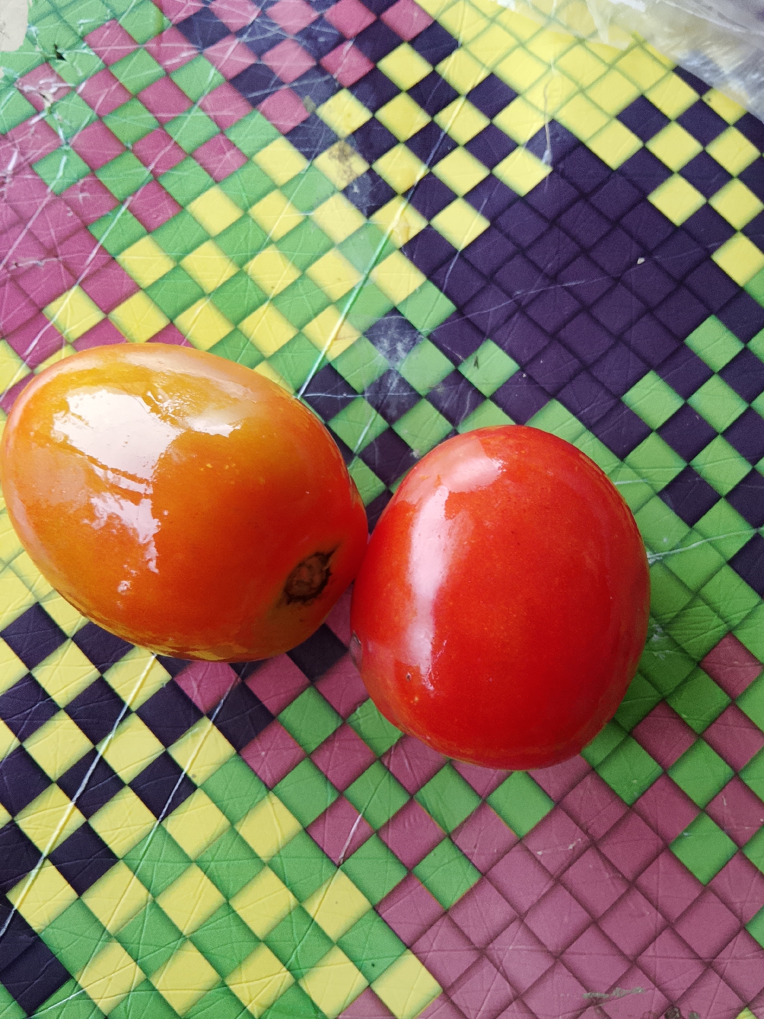 Two ripe tomatoes, one orange-hued and the other bright red, rest on a multi-colored checkered mat. The mat displays a pattern of interwoven squares in shades of green, yellow, purple, and pink. The tomatoes are positioned slightly off-center, with the orange one on the left and the red one on the right. The lighting suggests an indoor setting, possibly a kitchen or dining area. No people are visible in the image. The image does not provide any specific information about its location in Kruenglingka Barat, Indonesia.