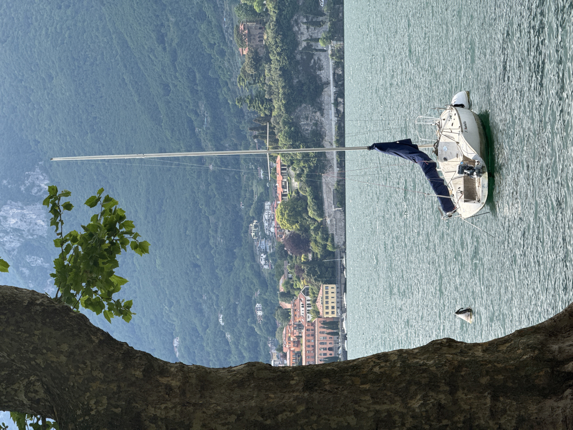 The image captures a serene and picturesque landscape overlooking a large body of water, likely a lake, framed by majestic mountains and a charming lakeside village. The photograph is taken from an elevated vantage point, with the gnarled bark of a large tree trunk occupying the bottom left foreground, and its vibrant green leaves extending into the upper left, partially obscuring the background.
The expansive lake dominates the right side of the scene, its surface calm with gentle ripples, reflecting the ambient light. Anchored in the tranquil waters is a white sailboat featuring a tall mast, a dark blue sail cover neatly furled along its boom, and visible rigging. The name "F. Nobili" is clearly discernible in dark letters on the stern of the boat. A small, dark object, possibly a buoy, floats further out in the water.
To the left, a steep mountain rises, densely covered in a blanket of lush green trees, indicating a rich, natural environment. Along the base of the mountain and climbing its lower slopes, a village or town is visible, characterized by buildings with warm terracotta roofs and light-colored walls, nestled amidst the abundant foliage.
The scene is bathed in natural daylight, suggesting it is either morning or afternoon, with soft, even lighting contributing to the peaceful atmosphere. The absence of people further accentuates the tranquility of the setting. The combination of the vast lake, verdant mountains, and traditional architecture strongly points to a European lake region, consistent with Lecco, Italy, on Lake Como. The overall impression is one of natural beauty and quiet charm.