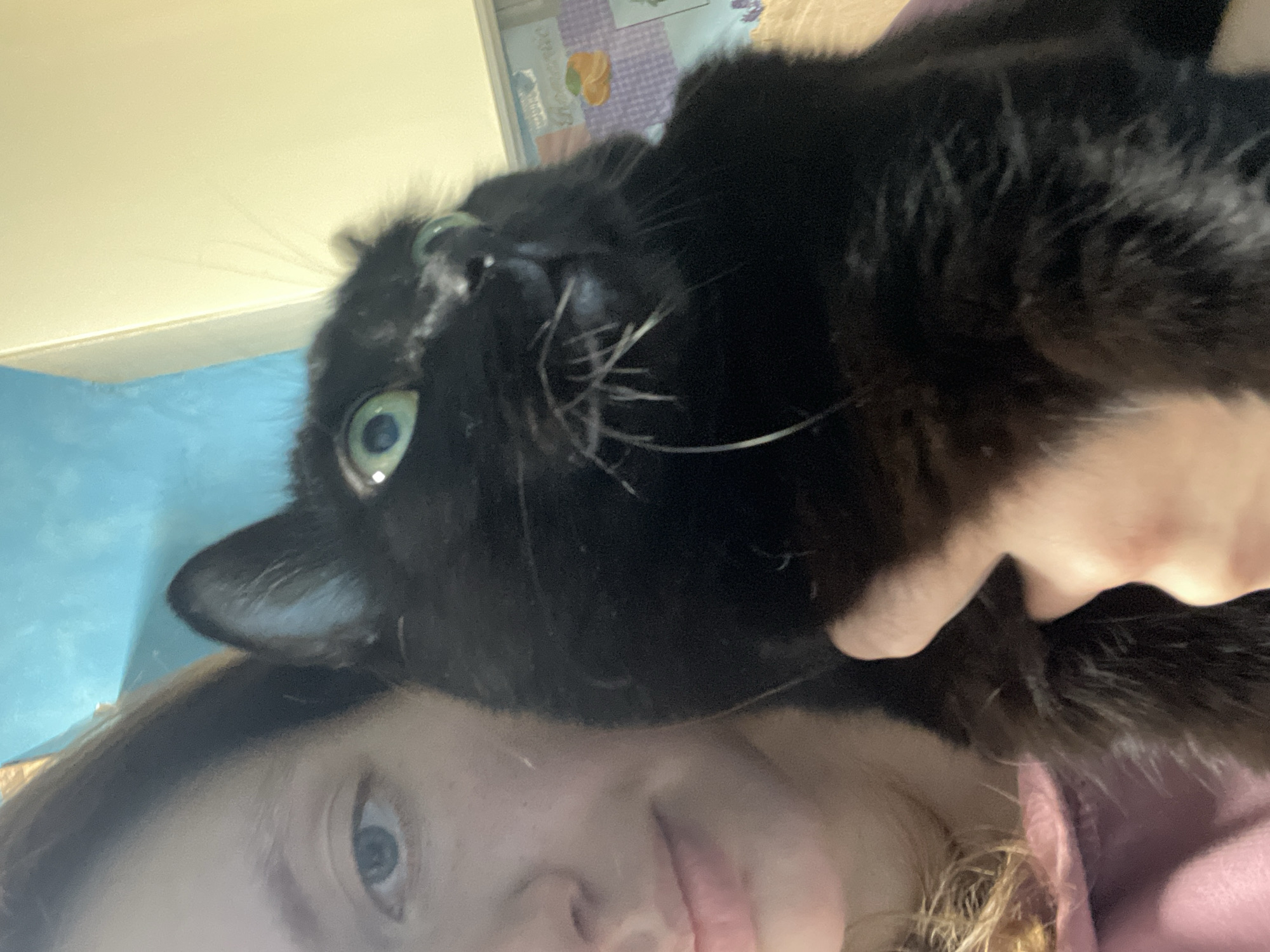 A person is holding a black cat in front of their face. The cat's eyes are wide open and it is looking upwards and to the right. The person's face is partially visible on the left side of the image, with their eye and nose in focus. The background is blurry and appears to be a room with a blue wall on the left and a yellow wall on the right. There are some items on a shelf in the background, including a framed picture with an orange and text. The image is taken from a low angle, suggesting it might be a selfie. The location in the city of Nizhny Tagil, Russia, cannot be determined from the visual information in the image.