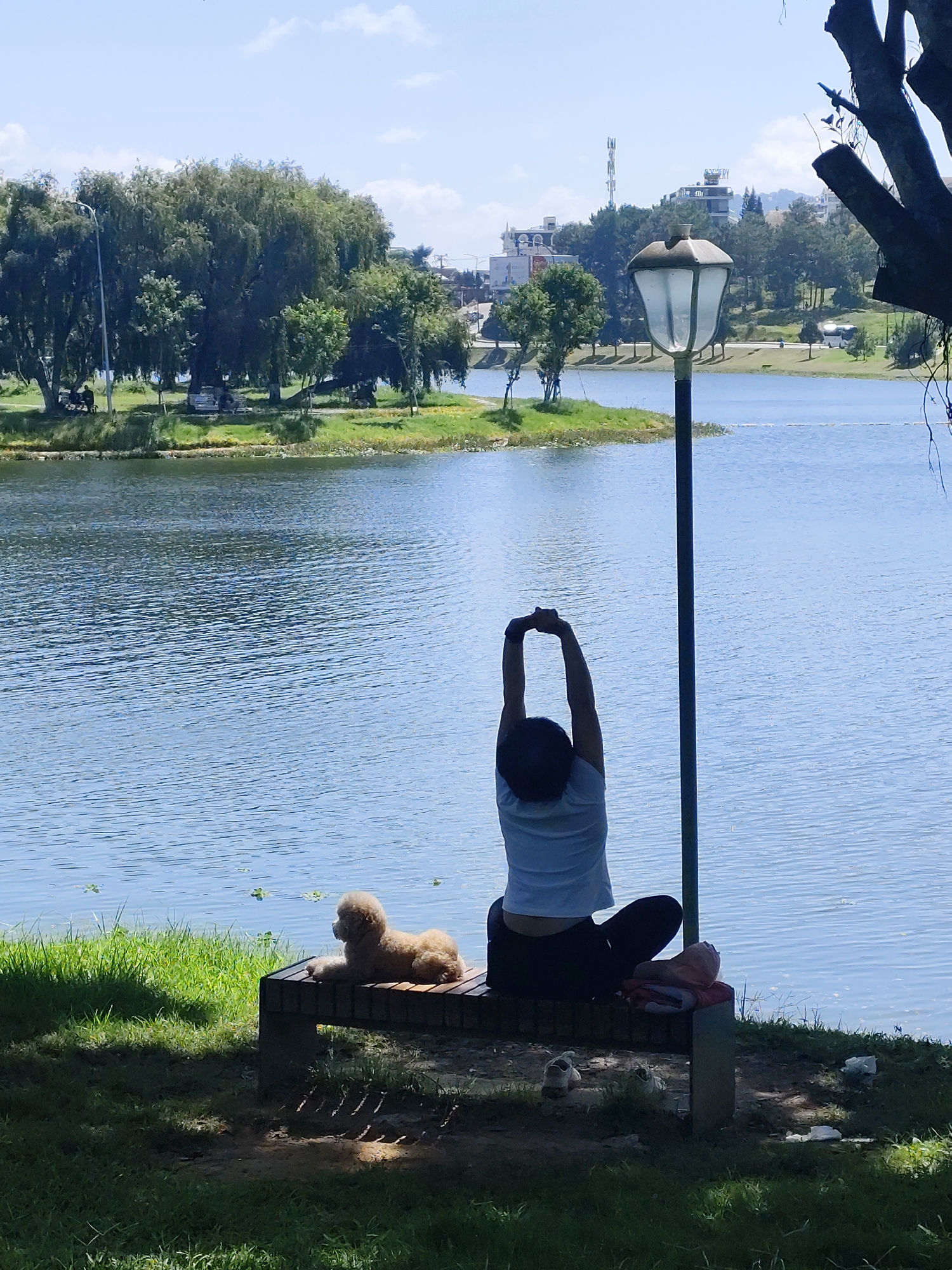 A person is stretching their arms overhead while sitting on a bench next to a lake. A small, light brown poodle sits on the bench next to the person. The scene is set in a park with trees and grass. In the background, there are buildings and a body of water. The lighting suggests it is daytime. The location is Xuân Hương Lake in Đà Lạt, Vietnam.