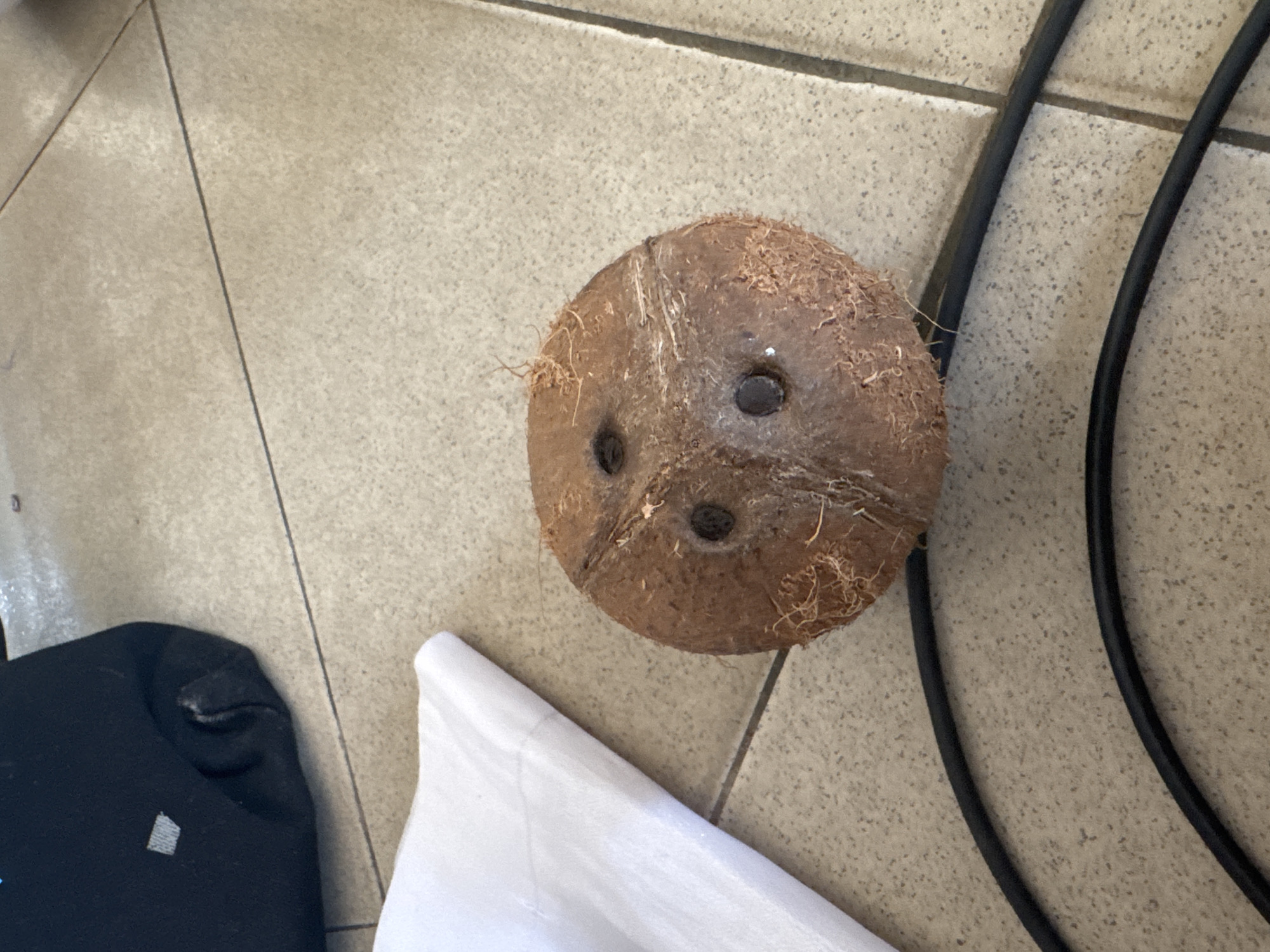 A coconut with three dark spots arranged as facial features rests on a tiled surface. A black object and a white cloth are partially visible in the lower left of the frame, while black cables are on the right. The image was likely taken indoors. The location, Badagry, Nigeria, is extraneous to the details within the photo.