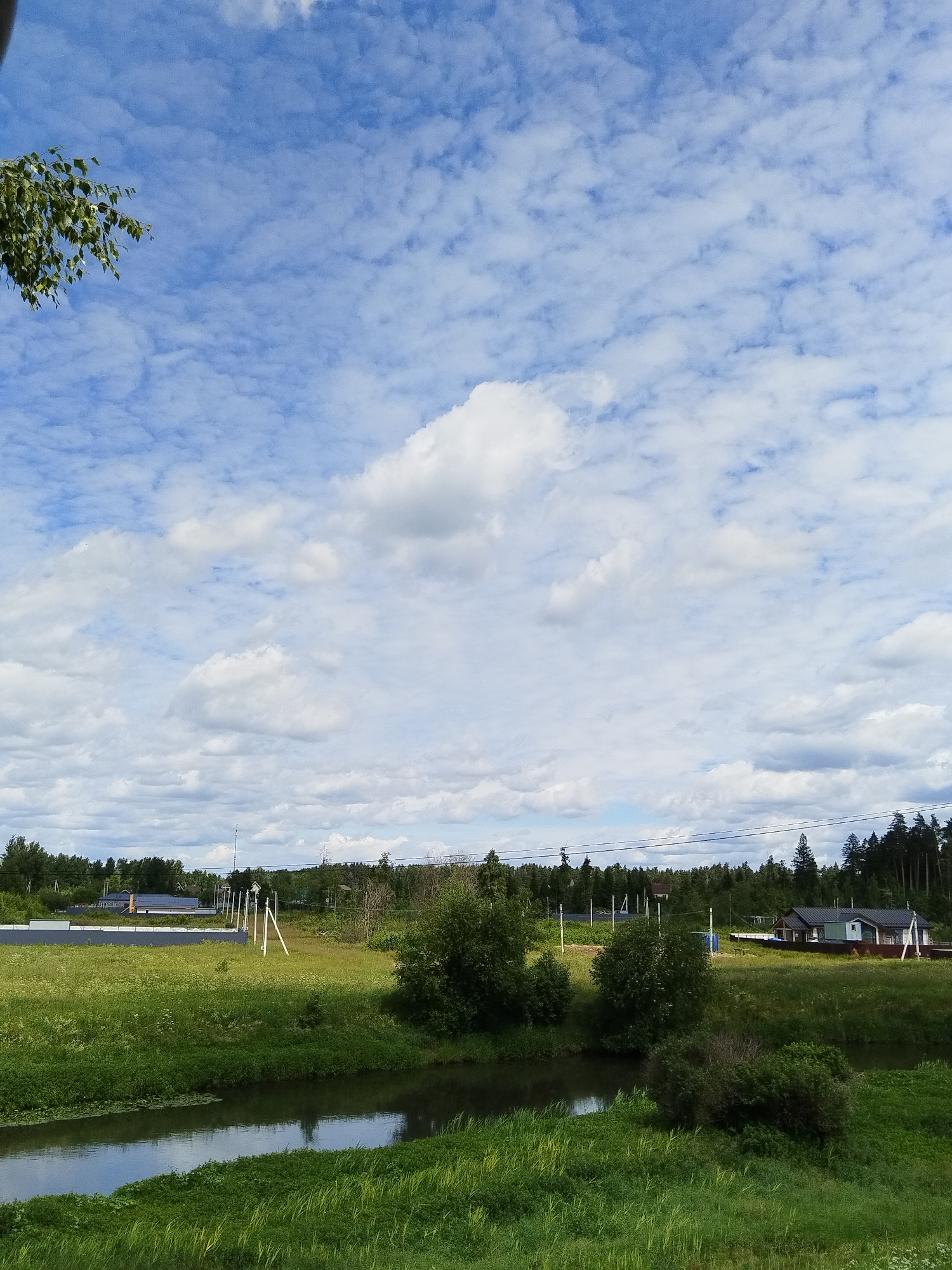 The image shows a view of a riverbank with lush green grass and vegetation under a bright blue sky filled with scattered white clouds. In the background, there are several houses with dark roofs, surrounded by trees. There are also some power lines visible across the landscape. The scene appears to be a rural or semi-rural area, possibly on the outskirts of a town or village. The light suggests it is daytime, likely mid-morning or afternoon. The overall impression is one of a peaceful, natural setting with signs of human habitation.