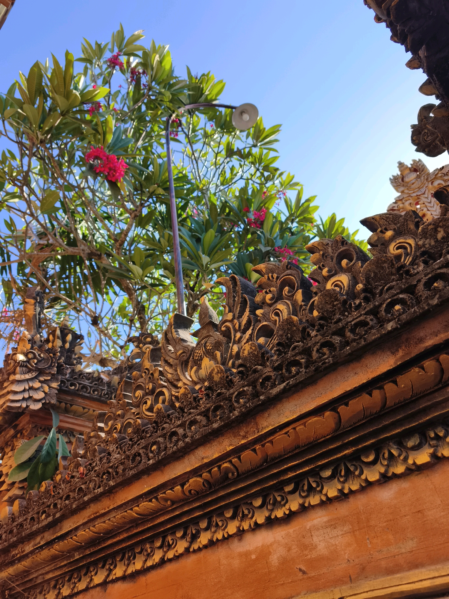 The image shows an ornate architectural detail, likely a decorative frieze or cornice, made of carved stone or wood. The carving is intricate, featuring swirling patterns and possibly mythical creature motifs. The material appears weathered and aged, with a warm, reddish-orange hue from the underlying structure and darker, textured elements.
Above this architectural feature, a lush green tree with vibrant pink flowers is visible against a clear, bright blue sky. A street lamp with a white shade protrudes from behind the tree. The perspective is from below, looking upwards.
The style of the carving and the presence of tropical foliage suggest a location in Southeast Asia. Given the prompt's reference to Denpasar, Indonesia, it is highly probable that this image depicts a section of a temple or traditional Balinese building in Denpasar. Balinese architecture is renowned for its elaborate stone and wood carvings, often incorporating symbolic representations. The vibrant flowers are consistent with tropical flora found in the region. The clear blue sky indicates a sunny day, typical of Denpasar's climate. There are no people or animals visible in the frame.