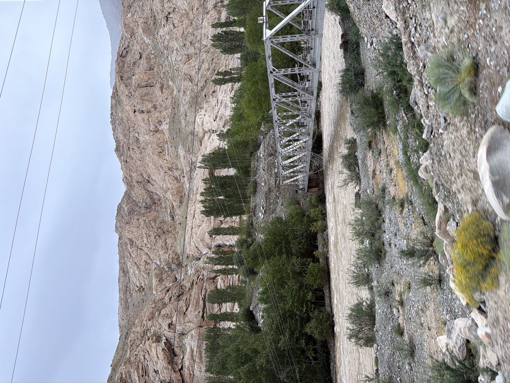 The image captures a wide, muddy river flowing under a metal truss bridge in a mountainous landscape. The terrain is rugged with steep, rocky slopes covered in sparse vegetation. A line of tall, slender trees grows along the riverbank, interspersed with denser green foliage. In the foreground, the ground is rocky and uneven, with some low-lying bushes and scattered yellow wildflowers. The sky is overcast with a pale, diffused light. The scene appears to be in a remote, natural setting, possibly a valley in the region of Kungyamdo, India.