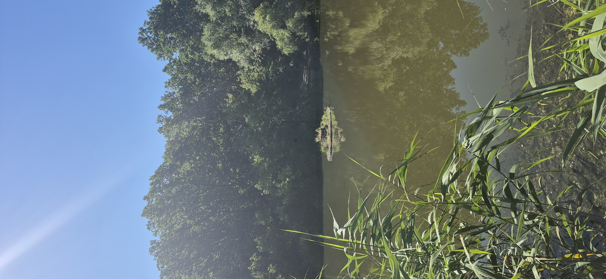 This is a vertical, eye-level, outdoor, daylight photograph of a tranquil lake surrounded by dense green trees. The sky is a clear, bright blue with visible sunbeams diagonally crossing the upper left quadrant. In the foreground, tall green reeds and grasses are on the left and right, partially obscuring the water's edge. The lake itself has a slightly murky, greenish-brown hue, reflecting the surrounding foliage and the clear sky. In the middle distance, a small, circular island is situated in the center of the lake. This island is covered with grass and has a small, dark structure, possibly a shed or a gazebo, on its surface, along with what appears to be a tree stump. A narrow path or boardwalk leads from the tree line on the far bank towards the island. The overall scene evokes a sense of peace and natural beauty within what appears to be a park or a natural reserve. The image does not contain any identifiable people. Based on its description, the location in Ivancea, Moldova, likely refers to a natural or park area within or near the city.