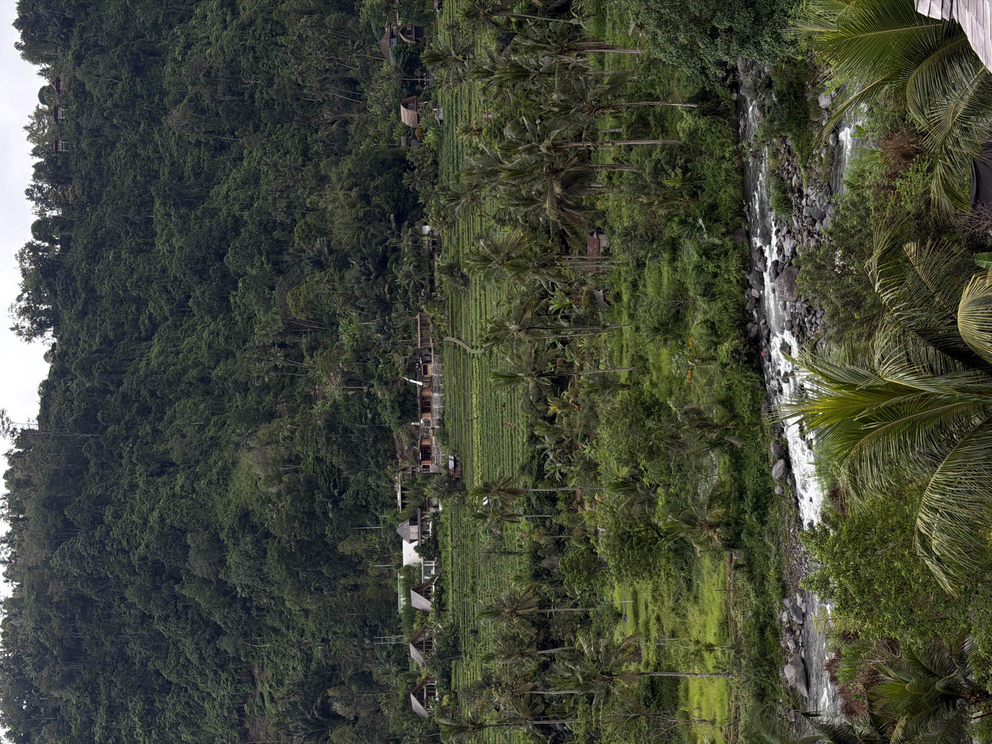 The image captures a view in Sidemen, Indonesia, showcasing a river cascading over rocks, framed by lush greenery and dense forest cover. A terraced landscape with palm trees sits adjacent to the forest, featuring buildings or structures interspersed within. The upper section of the image is dominated by a hillside covered in dense vegetation. A small wooden structure, possibly a deck or part of a building, is visible in the upper right corner.