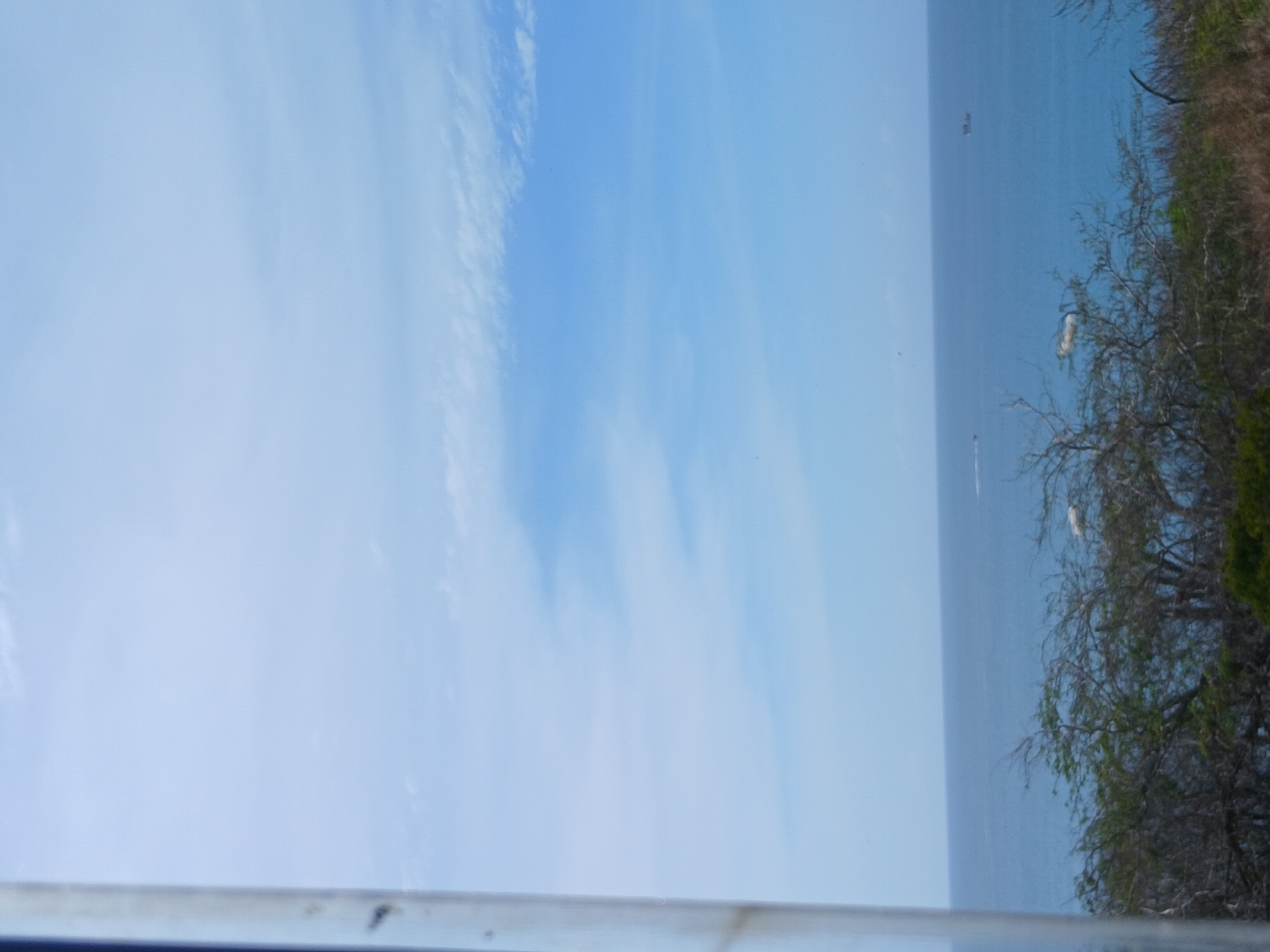The image displays a coastal landscape at Playa El Agua, Venezuela, dominated by a clear sky and vast ocean under bright daylight conditions.
A blurred, light-colored vertical element, possibly a pole or structural component, occupies the extreme left edge of the frame, extending from top to bottom.
The upper approximately two-thirds of the image consists of a bright blue sky, gradually darkening slightly towards the lower sky. Scattered, thin white clouds are present, with more defined wispy streaks visible in the upper right quadrant.
The lower middle third of the image is a vast expanse of deep blue ocean. A clear, straight horizon line separates the ocean from the sky. Within the ocean, two vessels are discernible: a small, light-colored craft, possibly a jet ski or speed boat, is observed on the left side, actively creating a white wake, indicating forward motion. On the right side, a larger, darker vessel, likely a boat or small ship, appears to be stationary or moving slowly.
The immediate foreground features a dense band of coastal vegetation, including trees and shrubs. Many branches appear bare or dry, interspersed with patches of green foliage. Two small, distinct white objects are partially visible within this vegetation. The ground beneath the foliage exhibits dry, brownish-green grass and soil.