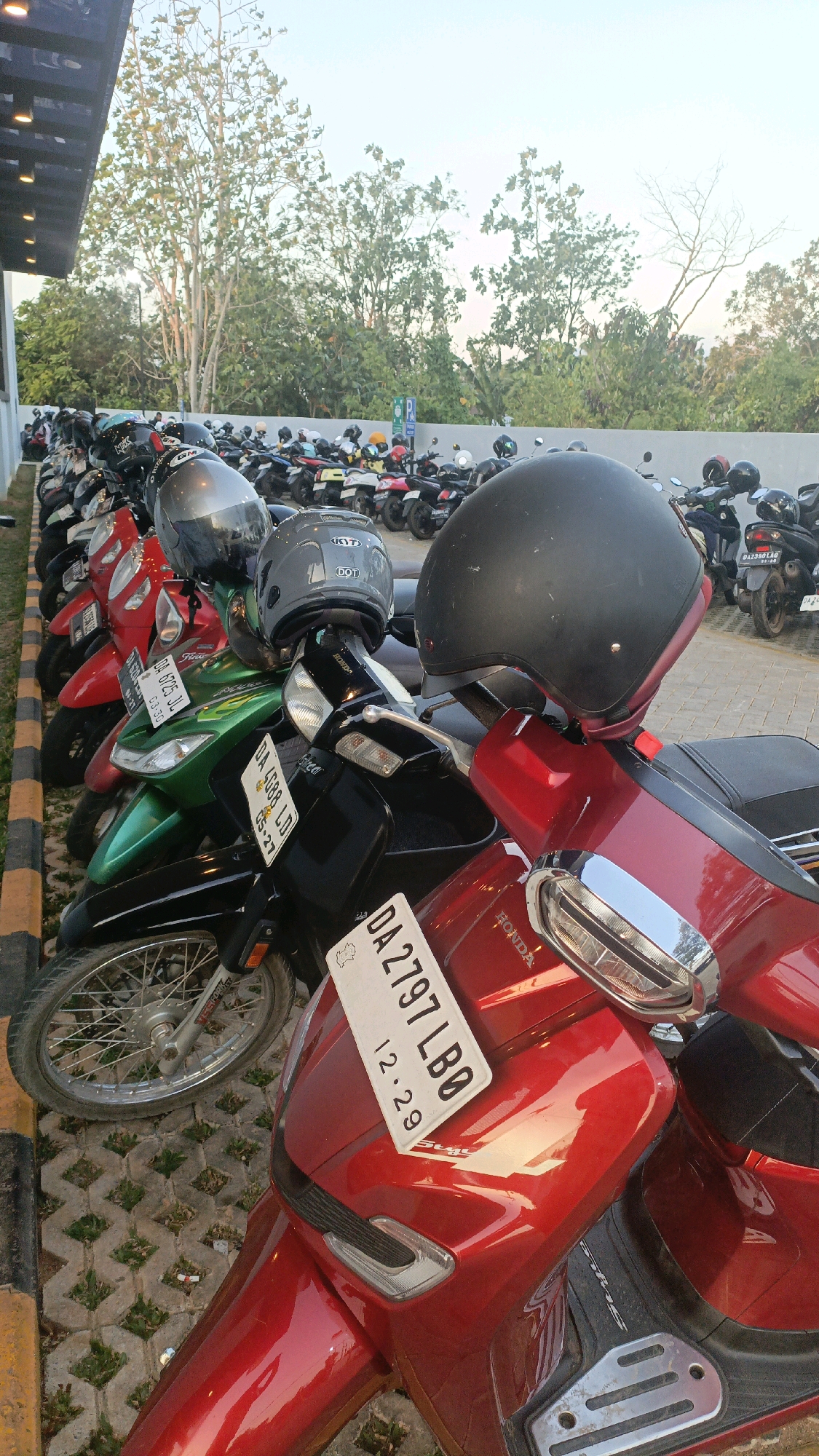 A row of parked motorbikes is visible in this medium shot, captured from a low angle. The motorbikes are predominantly red, green, and black, with some sporting helmets. A few license plates are visible, with one reading "DA 2797 LB0 12.29". The motorbikes are parked on a textured surface with yellow and black striped curbing. In the background, trees and a light-colored sky suggest an outdoor setting, possibly a parking lot in Pelaihari, Indonesia, given the Indonesian license plates. The lighting indicates it may be late afternoon or early morning.