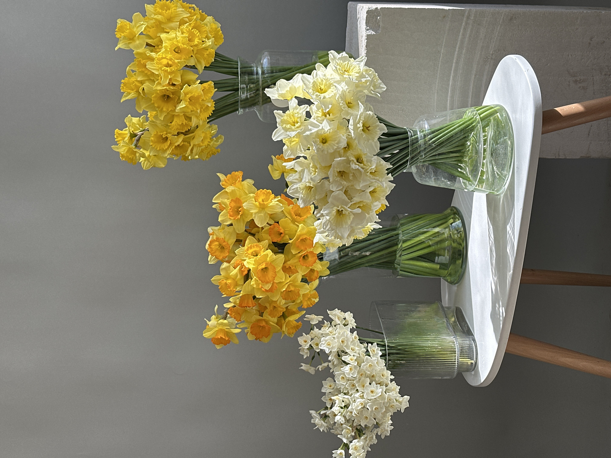 The image displays a still life featuring five bouquets of narcissus flowers arranged against a plain, light grey wall in a room in Moscow, Russia. Four bouquets are situated on a white, oval-shaped table with light wooden legs, while one large bouquet rests on a light-colored, textured concrete block to the table's right.
From left to right on the table:
1. A bouquet of small, white narcissus with tiny pale yellow centers, contained in a ribbed, clear glass vase with an oblong-rectangular form.
2. A bouquet of yellow narcissus with prominent orange-yellow trumpets, held in a clear, inverted bell-shaped glass vase.
3. Behind the previous bouquet, a larger bouquet of entirely yellow narcissus, distinguished by ruffled petals, is placed in a tall, cylindrical clear glass vase.
4. Further right on the table, a second bouquet of yellow narcissus with orange-yellow trumpets, similar to the second bouquet, is presented in another clear, inverted bell-shaped glass vase.
To the far right, on the concrete block, a large bouquet of entirely yellow narcissus, similar to the one described in point 3, is held in a tall, cylindrical clear glass vase. All vases contain water and display the green stems of the flowers. Strong natural light originates from the left, casting distinct shadows of the vases and flowers onto the table and the grey wall. No people or active interactions are visible in the scene.