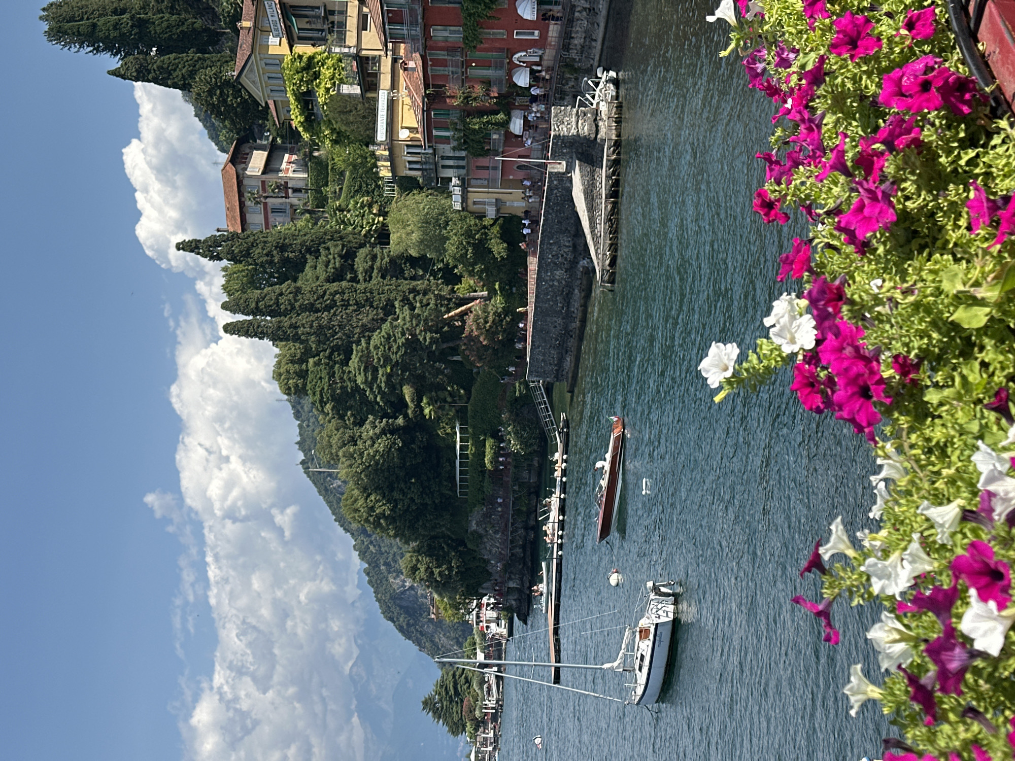 The image depicts a scenic view of Lake Como in Varenna, Italy. In the foreground, vibrant pink and white petunias are in bloom, adding a splash of color to the scene. The lake itself is a deep blue, with a white sailboat and a wooden motorboat on its surface. In the midground, a stone embankment lines the shore, with a small dock extending into the water. Beyond the embankment, colorful buildings in shades of yellow, red, and orange are nestled on a hillside, characteristic of Varenna's architecture. Cypress trees and lush green foliage are visible on the slopes, with distant mountains forming a backdrop under a bright blue sky with fluffy white clouds. Several people are seen walking along the embankment and near the buildings, suggesting a lively atmosphere. The overall impression is one of a picturesque summer day in a charming Italian lakeside town.