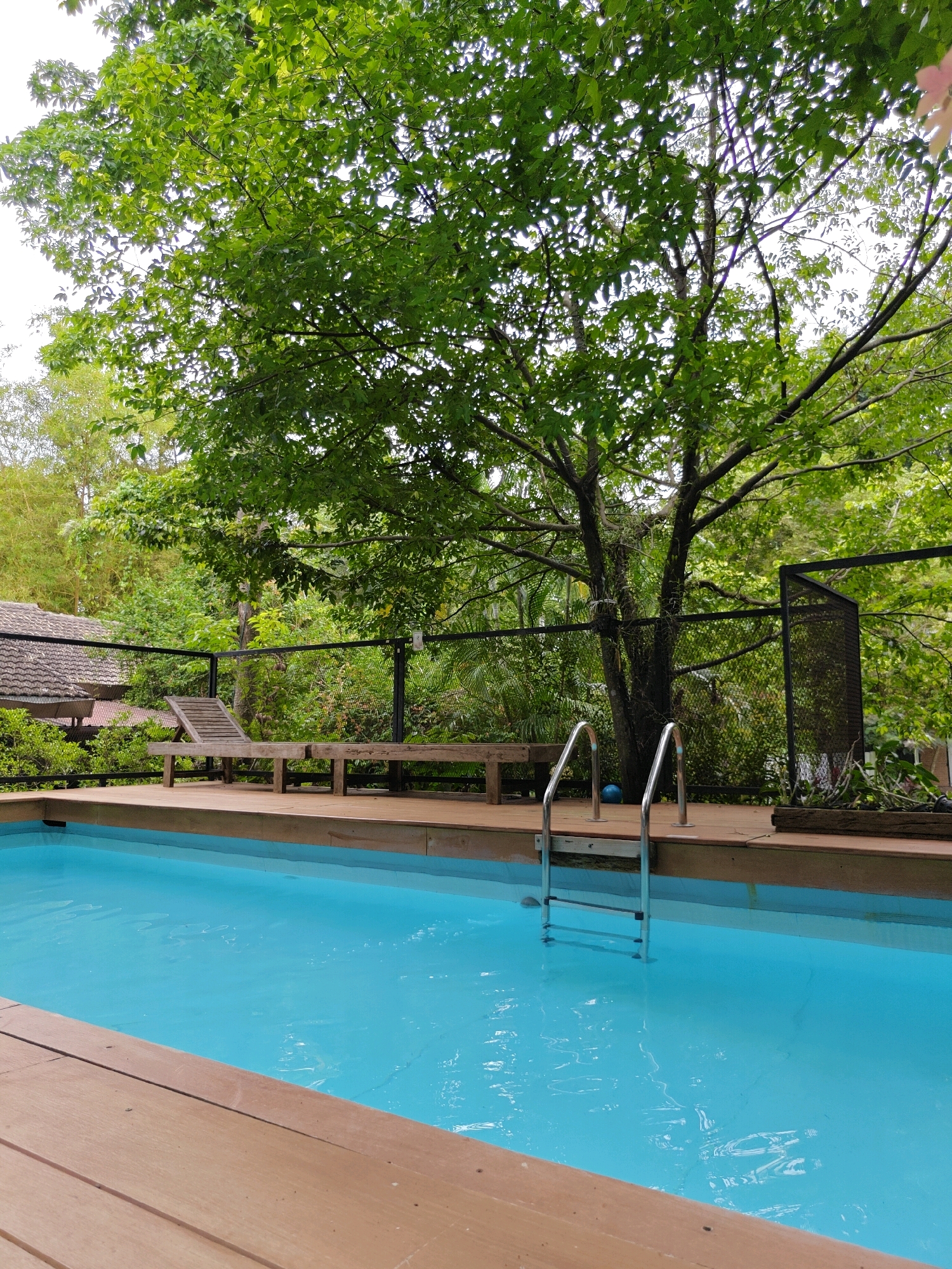 The image depicts a tranquil swimming pool area in Mu Si, Thailand. The pool, filled with clear blue water, is surrounded by a wooden deck. A silver ladder with two handrails provides access to the pool. To the left of the pool, a wooden bench and a lounge chair are visible on the deck, with a glimpse of a tiled roof structure behind them. The background is lush with dense green foliage and trees, suggesting a natural and secluded environment. A black metal fence runs along the back of the deck, separating the pool area from the surrounding vegetation. A bright blue ball rests on the wooden deck near the pool ladder. The overall scene evokes a sense of relaxation and tropical serenity.