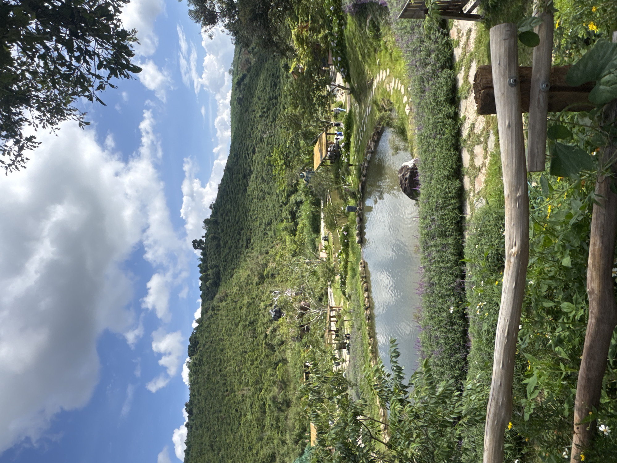 In Thôn 1, Vietnam, a serene landscape unfolds with a placid pond at its center. The pond's edge is bordered by a vibrant array of purple flowers, creating a striking contrast with the lush green hillside that rises in the background. This hillside appears to be cultivated, possibly with tea or coffee plants, suggesting a rural or agricultural setting.
A stone pathway meanders along the pond, leading to small, open-air shelters with thatched roofs, providing shaded areas for visitors. Several individuals are scattered throughout the scene, some near the shelters, others by the water's edge, indicating a public space or a tourist attraction. One person is visible fishing in the pond.
The foreground is occupied by a rustic wooden fence, adding a touch of rustic charm to the natural beauty. Beyond the fence, more greenery and wildflowers thrive, contributing to the overall idyllic atmosphere. The sky above is a brilliant blue, dotted with fluffy white clouds, casting a soft, natural light over the entire scene. A large rock sits near the edge of the pond, adding a natural element to the landscape. The overall impression is one of tranquility and natural beauty, characteristic of the Vietnamese countryside.