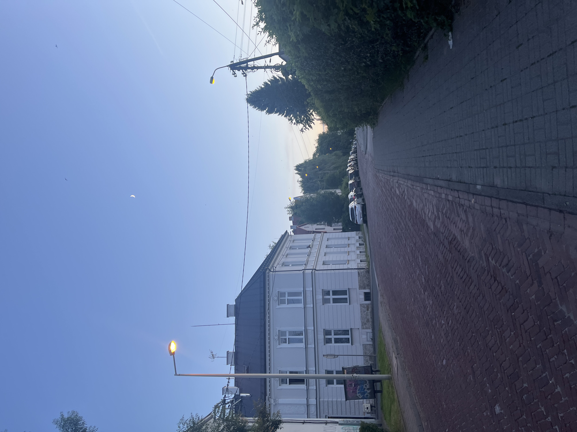 The image depicts a street scene in a city, likely during twilight due to the dim lighting and visible crescent moon in the clear blue sky. On the left, a pale blue building with a dark roof and multiple windows stands prominently. A street lamp with a yellow light is visible in front of it. The street is paved with red brick in a herringbone pattern. On the right side of the street, a sidewalk made of gray rectangular pavers runs alongside a dense green hedge. Several parked cars are lined up along the street on the left, and a single white car is visible on the right side. Tall trees and other buildings can be seen in the background. The overall impression is a quiet residential street.