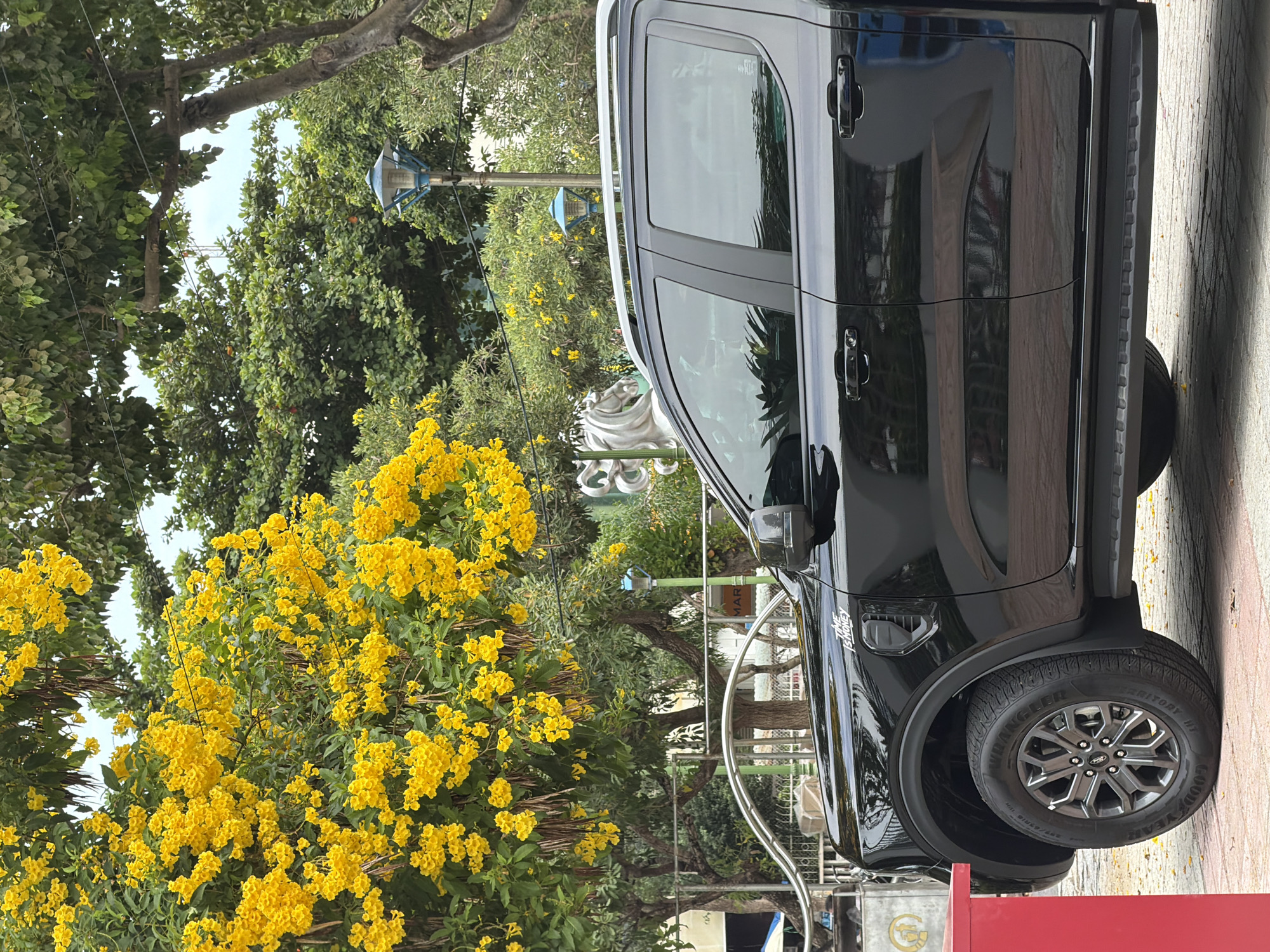 This is a medium shot, eye-level, outdoor photograph of the side of a black pickup truck parked on a paved area, possibly a sidewalk or parking lot. The truck is a Ford Ranger, as indicated by the "Wrangler" tire tread and the Ford emblem on the wheel rim. The truck's doors, windows, and side mirror are visible, reflecting the surroundings. The background is a lush, green environment with a large tree adorned with abundant yellow flowers. In the distance, there are more trees, some with hints of red foliage, and street lamps. A red structure is partially visible on the left side of the frame. The overall scene suggests a park or a landscaped area in a city. The context of Nha Trang, Vietnam, is given, implying a tropical or subtropical climate conducive to such vegetation. There are no people visible in the image, and no particular actions or interactions are depicted. The focus is on the truck and its natural surroundings.