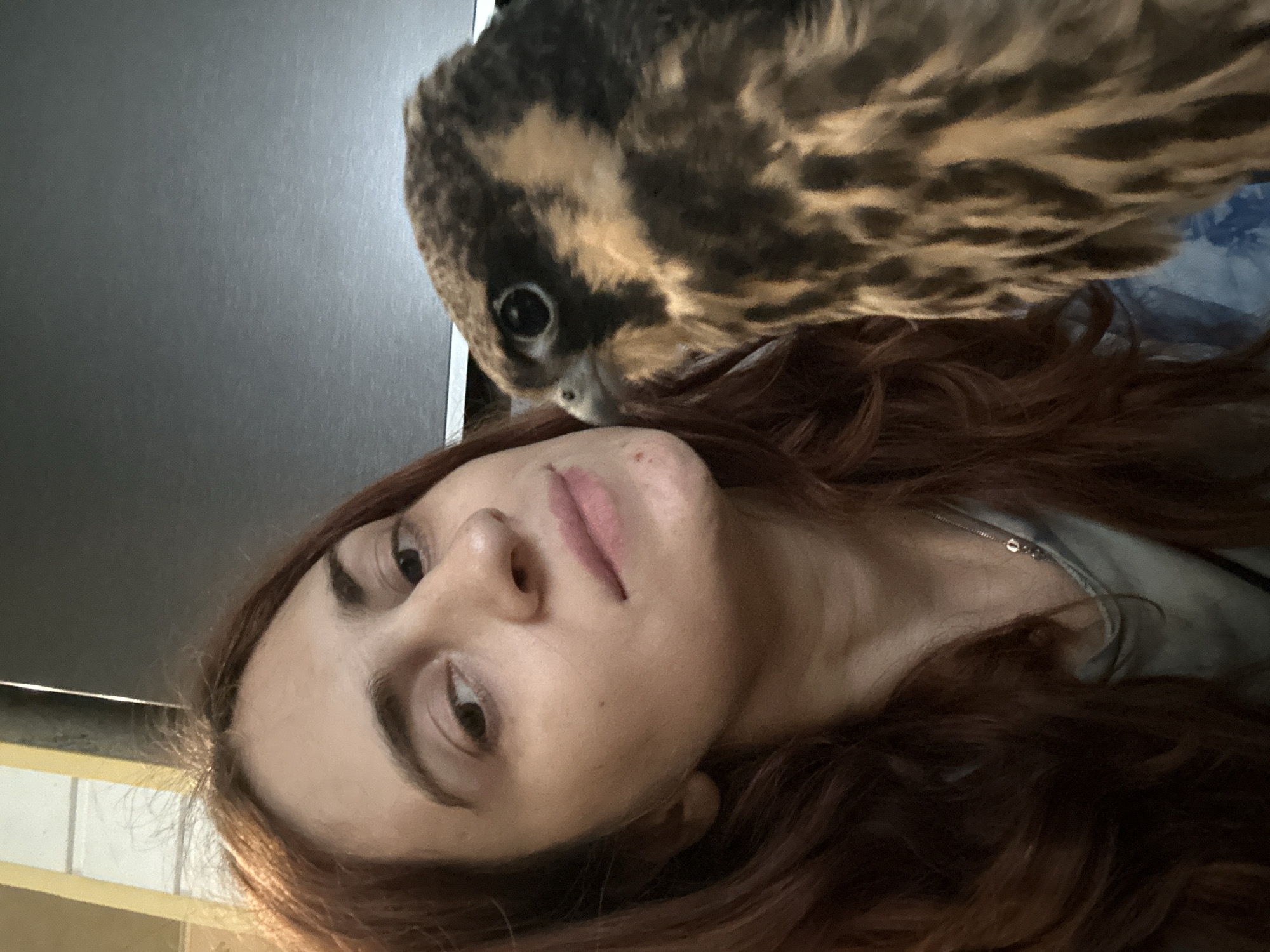 A woman with auburn hair is taking a selfie with a bird of prey. The bird is on the right side of the frame, close to the woman's face, and appears to be a falcon or hawk due to its sharp eyes and patterned feathers. The woman is looking at the camera with a neutral expression. She is wearing a light-colored top. The background is out of focus, with hints of a dark surface and a yellow vertical element. The image appears to be taken indoors, possibly in a residential setting. No specific landmarks or details that would indicate the city of Togliatti, Russia, are visible.