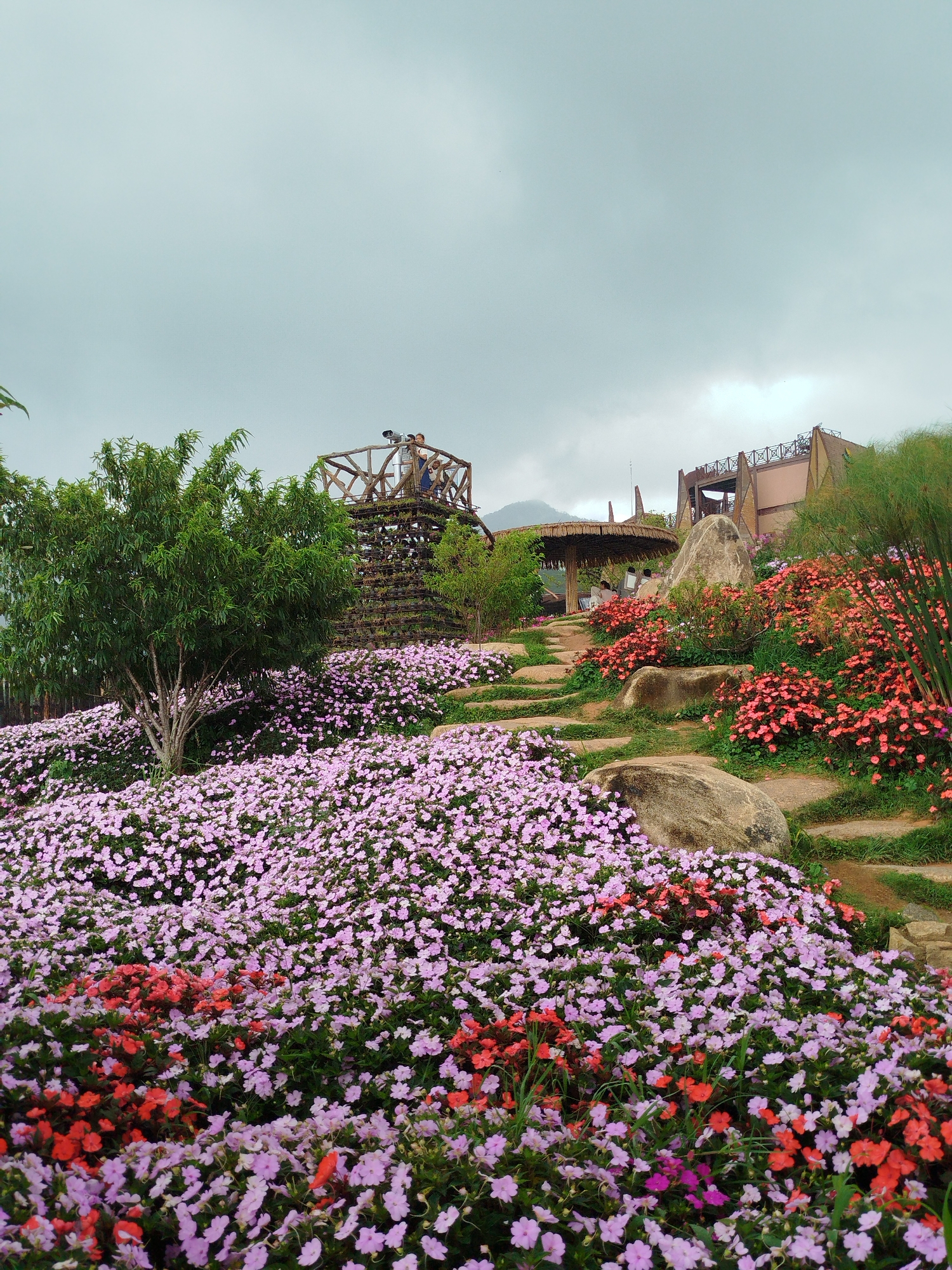 A high-angle, wide shot captures a vibrant hillside garden filled with an abundance of flowers in various shades of pink and red. A stone pathway winds its way up the hill, bordered by lush greenery and large rocks. At the top of the hill, a wooden structure with a thatched roof provides shade, and two people are visible standing near a set of binoculars. Further up, another wooden observation deck is seen, with three individuals on it. A large green tree stands prominently in the foreground. The scene is set against a backdrop of a cloudy, overcast sky. The location is identified as a tourist attraction in Lạc Dương, Vietnam.
