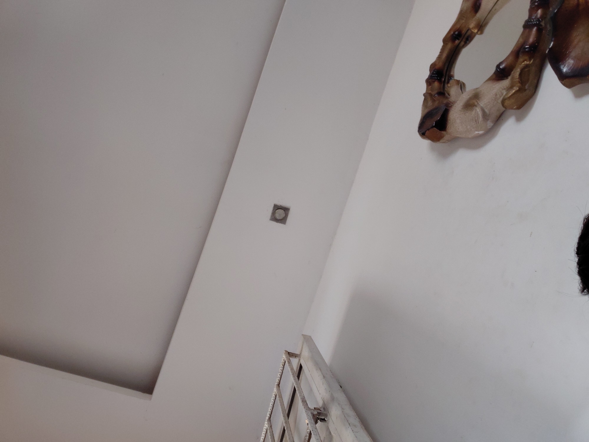 The image captures an indoor scene from a low, upward-looking angle, predominantly featuring a white or light grey ceiling and an adjacent wall. The ceiling on the left side has a recessed or dropped section, creating a defined architectural edge. A small, square recessed light fixture or sensor is embedded in the ceiling towards the center-right.
On the right side of the image, mounted on the wall, is a decorative item that appears to be part of an animal's leg or hoof, possibly made of wood or a similar material, displaying brown and beige tones with darker accents. In the lower right quadrant, a section of a light-colored metal grille or window frame with a grid pattern is visible. The overall setting suggests a static, modern interior space in Santa Ana, Venezuela. No people, specific activities, or visible text are present in the media.