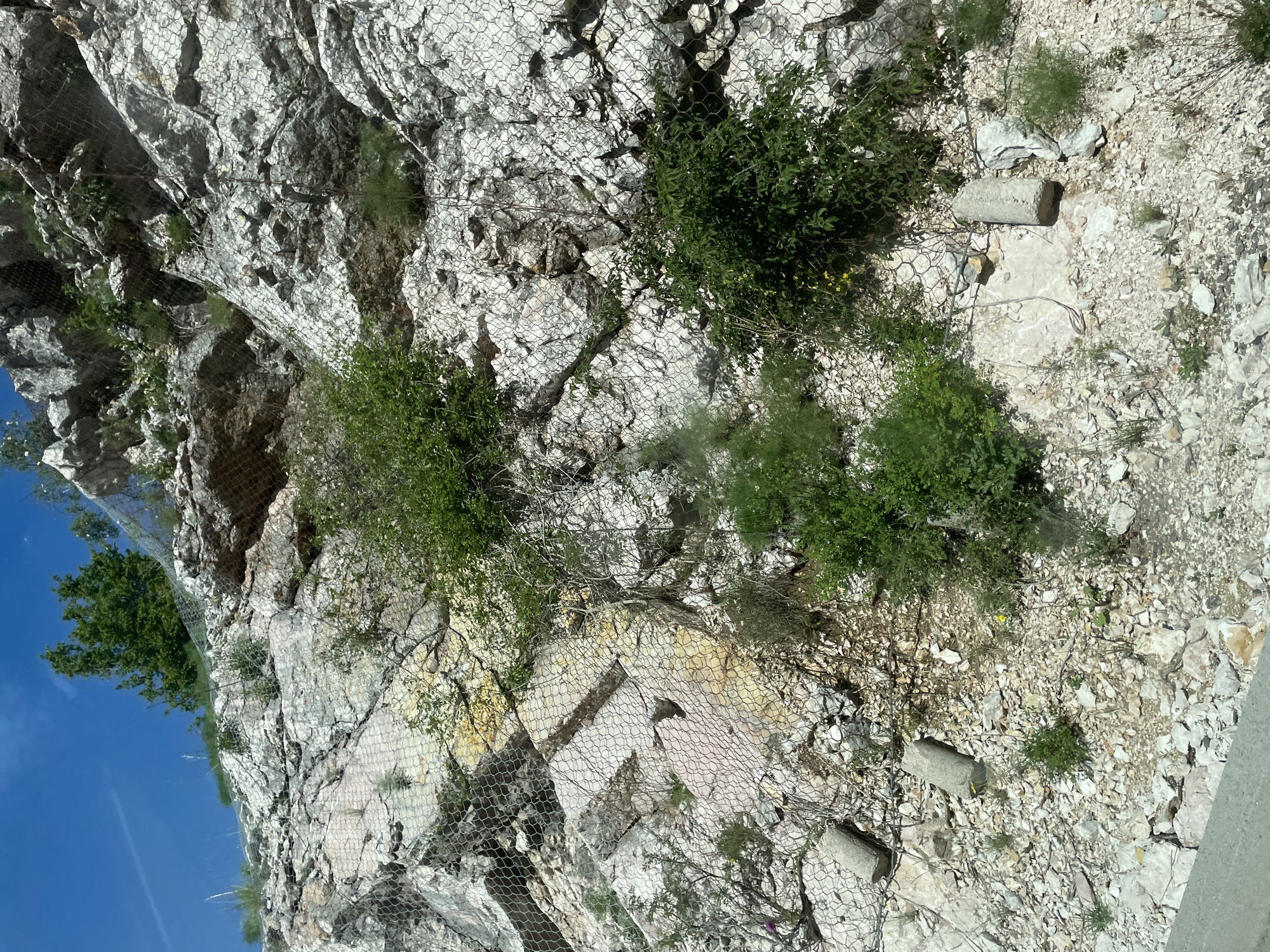 Crna Greda, Montenegro: A rugged rock face reinforced with wire mesh to prevent rockslides. The mesh is anchored with concrete blocks. Sparse vegetation, including small trees and shrubs, grows from the rock. The sky is visible in the lower left corner. The image is oriented with the rock face running diagonally from upper left to lower right.