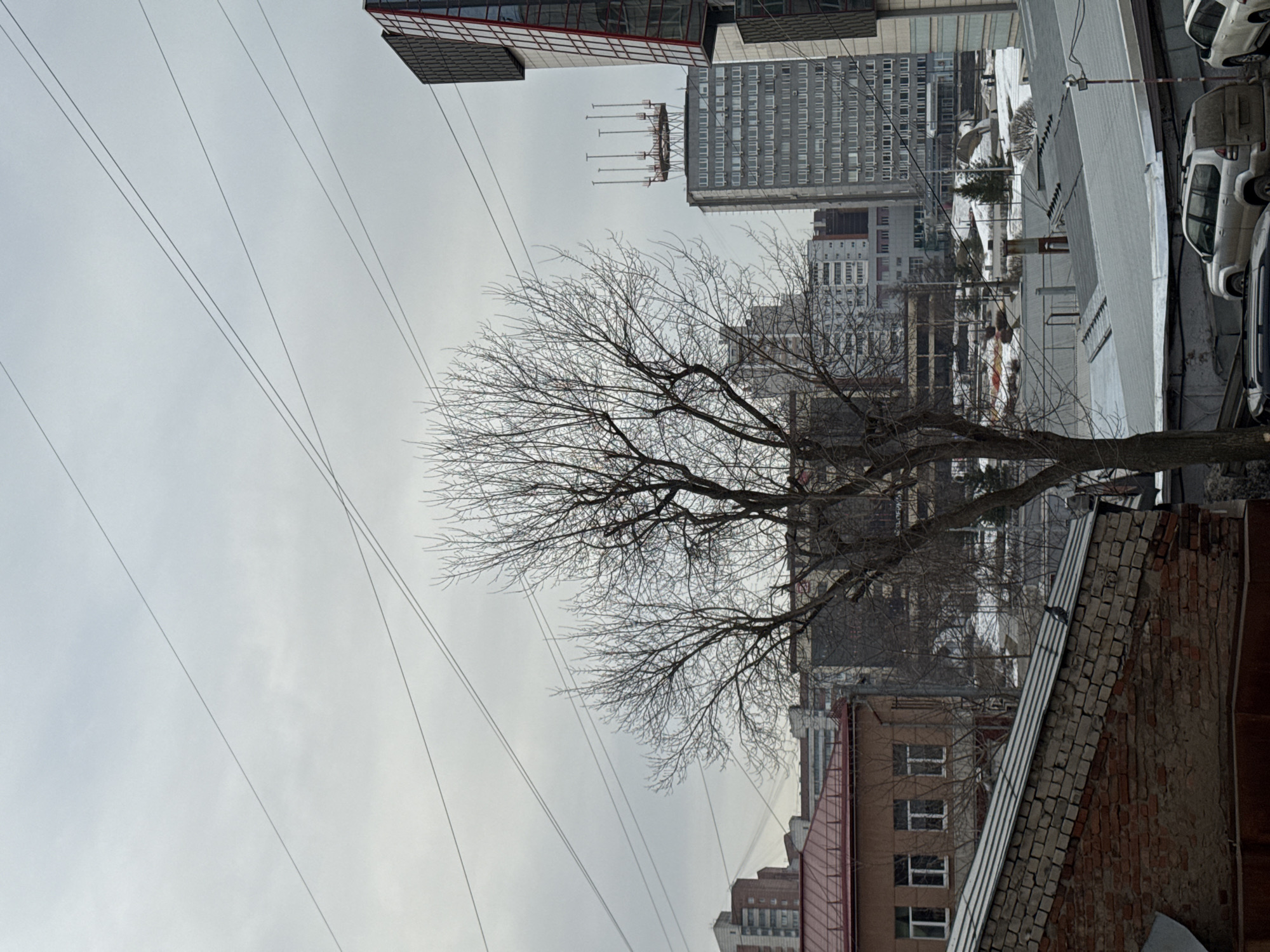 An elevated, wide-angle view depicts an urban landscape in Perm, Russia, under an uniformly overcast sky. The immediate foreground features a sloping, light-grey metal-paneled roof partially covering a section of brick wall. A dark bird is perched on the peak of this roofline. Below this, the upper portions of several parked vehicles, including a silver Toyota Land Cruiser Prado and a white SUV, are visible.
Centrally, a large, bare deciduous tree with extensive branching occupies the midground, its silhouette prominent against the sky and background structures. To the left of the tree, a two-story building with a red-tiled roof and light brown facade featuring multiple white-framed windows is partially visible. Beyond these, a dense cluster of multi-story buildings, some appearing residential and others commercial, extends into the distance. Patches of snow on the ground indicate a winter or early spring season.
The background is anchored by two prominent structures on the right. A modern building with dark, geometric facade panels and distinctive diagonal red-framed glass sections stands on the far right. To its left, a tall, multi-story grey building, identifiable as the Hotel Ural, features numerous rows of rectangular windows and a unique rooftop installation composed of several vertical poles arranged in a circular pattern. Multiple thin overhead wires traverse the sky diagonally across the upper portion of the frame. No human subjects are discernible within the scene.