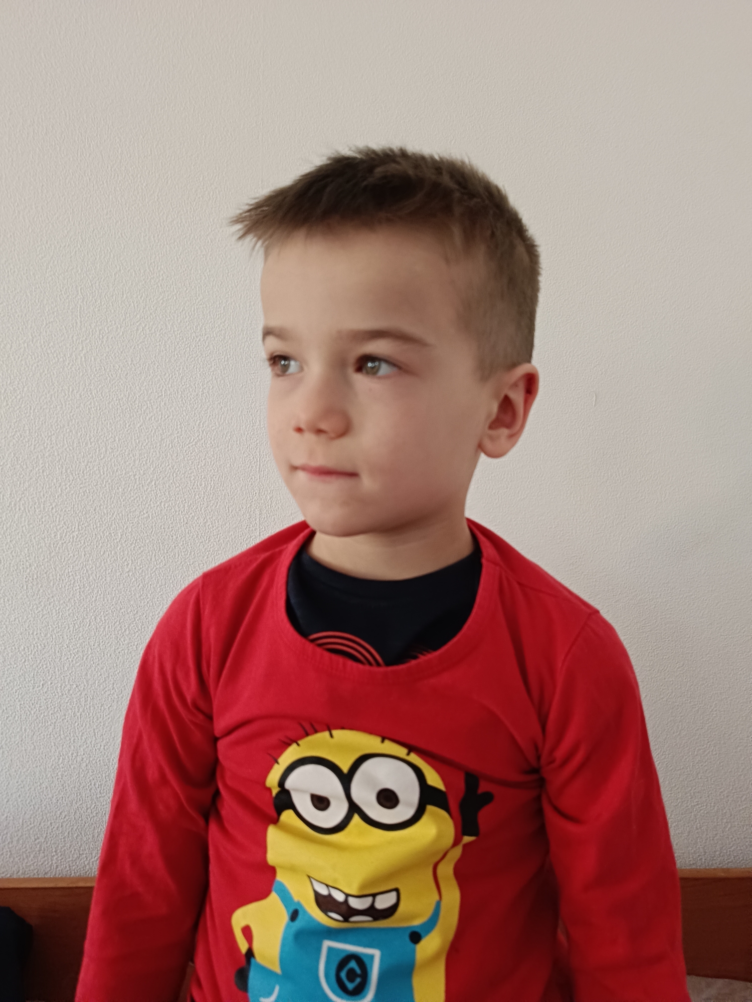 A young boy is standing indoors against a white wall. He is wearing a long-sleeved red shirt featuring a Minion character. A black shirt is visible underneath the red shirt. The boy has short brown hair, fair skin, and is looking to his left. The location, Rusalevka, Russia, cannot be determined from this image.