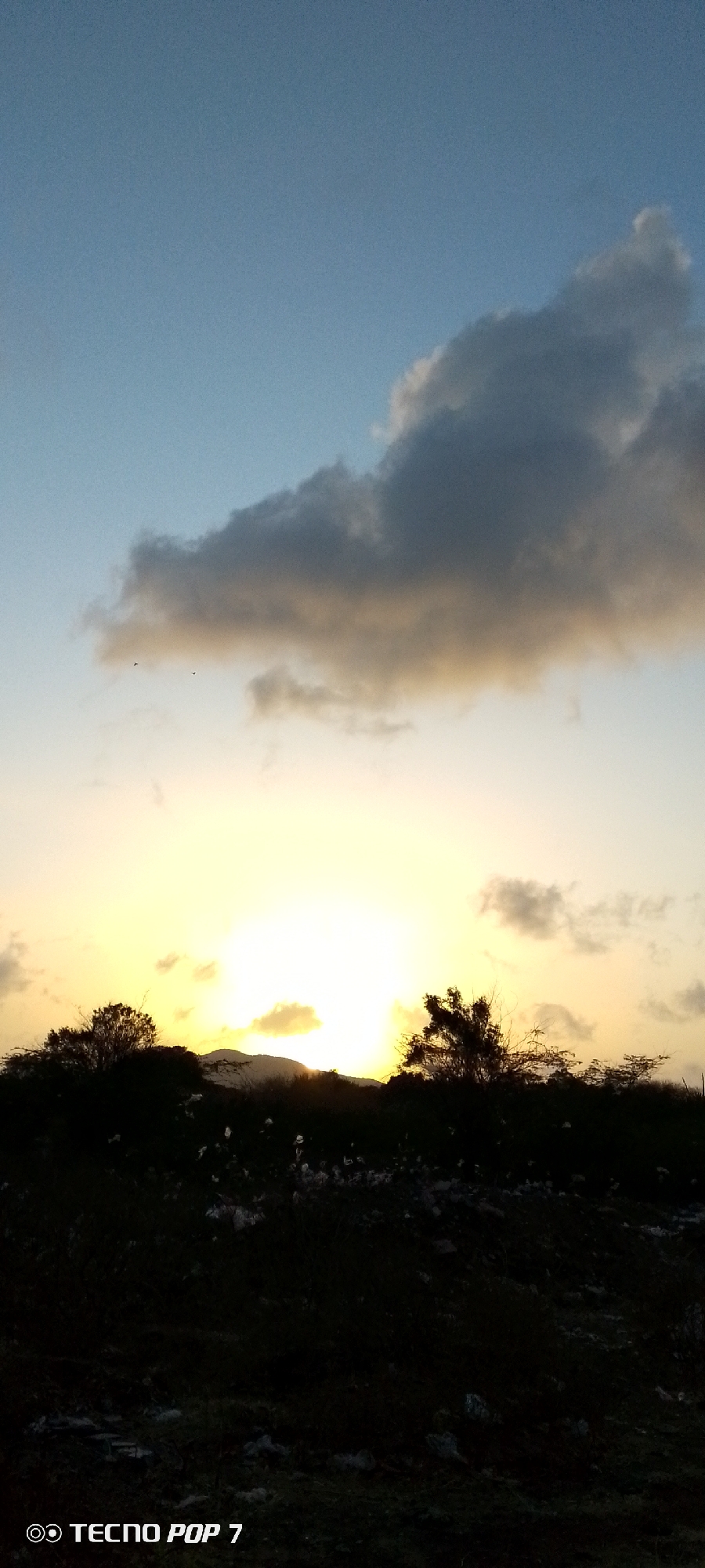 The image captures a rural landscape at dusk or dawn, likely in Altagracia, Venezuela. A low, dark hill or terrain is in the foreground, obscuring most of the view except for a silhouette of trees and vegetation along its crest. The sun appears as a bright, golden orb on the horizon, partially obscured by the hill. Above the sun, the sky transitions from a yellow-orange glow near the horizon to a pale blue higher up. A large, gray cloud hovers in the upper part of the sky. In the lower left corner of the image is the text "TECNO POP 7".