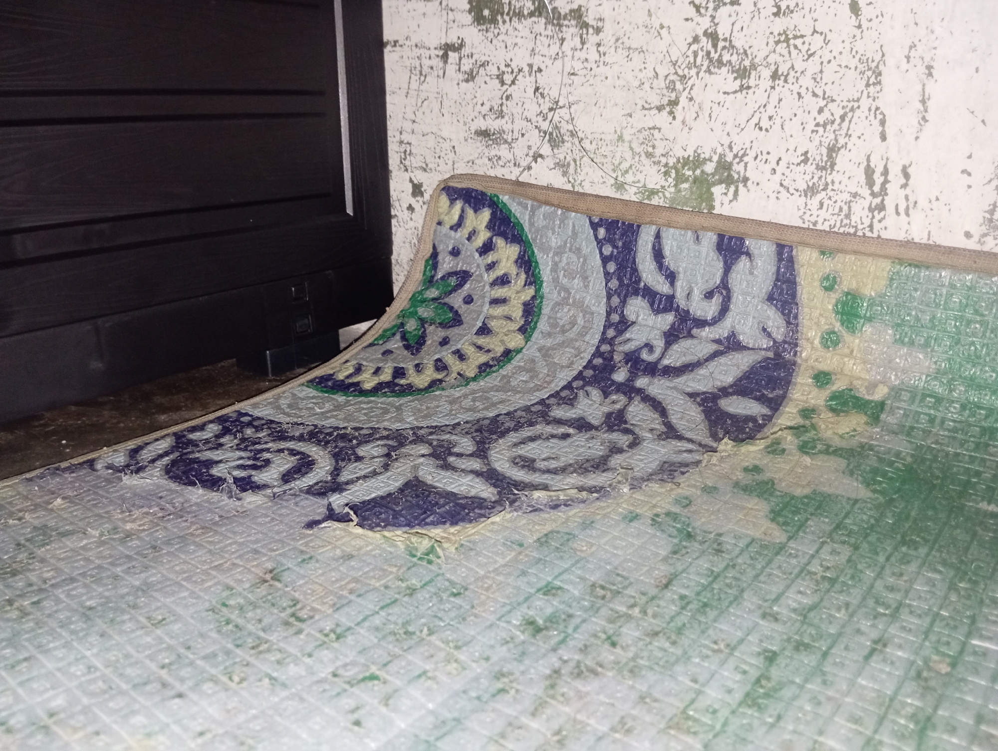 The image shows a close-up view of a colorful mat with a patterned design, partially covering a floor in what appears to be an indoor setting. The mat has a prominent circular motif in blue, yellow, and green, with floral-like elements. The rest of the mat is a textured pattern in shades of green and white. To the left, a dark-colored, slatted surface is visible, possibly a piece of furniture or a door. In the background, a textured wall with a distressed finish, exhibiting patches of white and a greenish-gray hue, is present. The scene does not provide any information indicating its location in Rejosari, Indonesia, or any details about people, actions, or interactions.