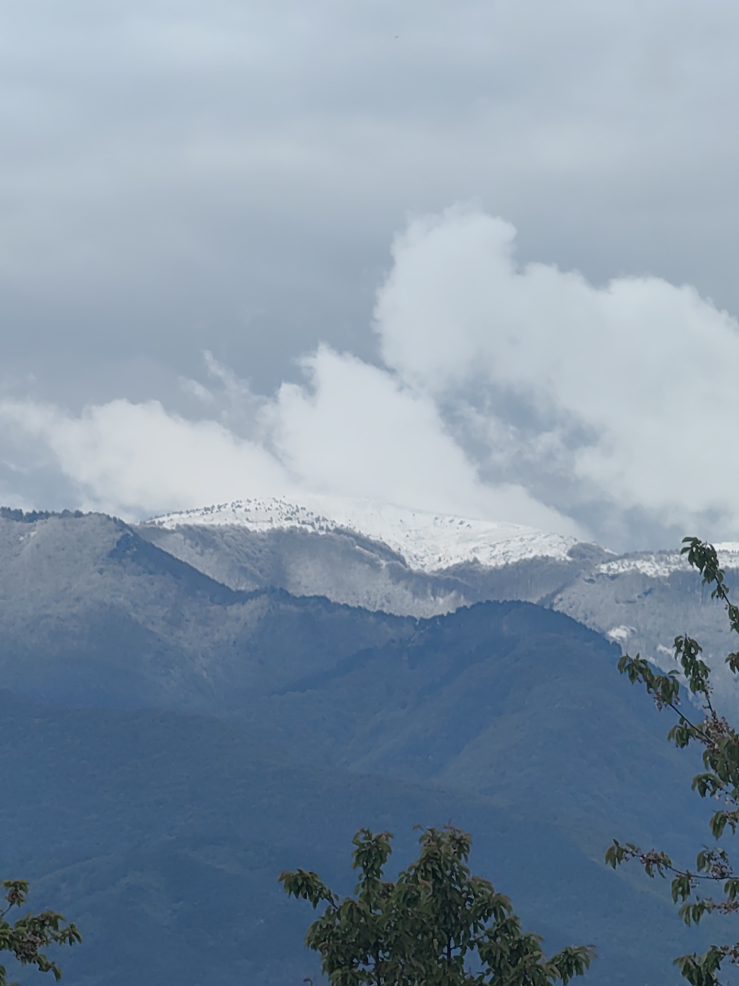 The image presents a serene mountain landscape under a predominantly cloudy sky. The upper portion of the frame is filled with a soft, overcast sky, featuring a mix of light grey cloud cover and some brighter, billowy white clouds, especially towards the right.
Below the sky, multiple layers of mountains stretch across the horizon. The highest and most distant mountain range, positioned centrally, is strikingly covered in snow, with white patches contrasting against the darker, possibly coniferous, trees that dot its upper slopes. This snow-capped peak suggests either a high altitude or a cold season.
Further down, successive mountain ridges appear in varying shades of blue and grey, creating a sense of immense depth and distance. The mountains closer to the viewer exhibit more defined outlines of forests and slopes.
In the foreground, the dark green foliage and branches of trees partially frame the scene, visible on the right side and hinted at in the bottom left. These trees suggest the vantage point is from a lower elevation, looking out towards the vast mountain ranges.
The lighting is soft and diffused due to the cloud cover, indicating daytime, possibly an overcast morning or afternoon. The overall mood is one of tranquil majesty and natural beauty. There are no people, objects of human origin, or visible text in the image. The scene is a natural panorama of mountainous terrain. The location context is Slatina, Bulgaria.